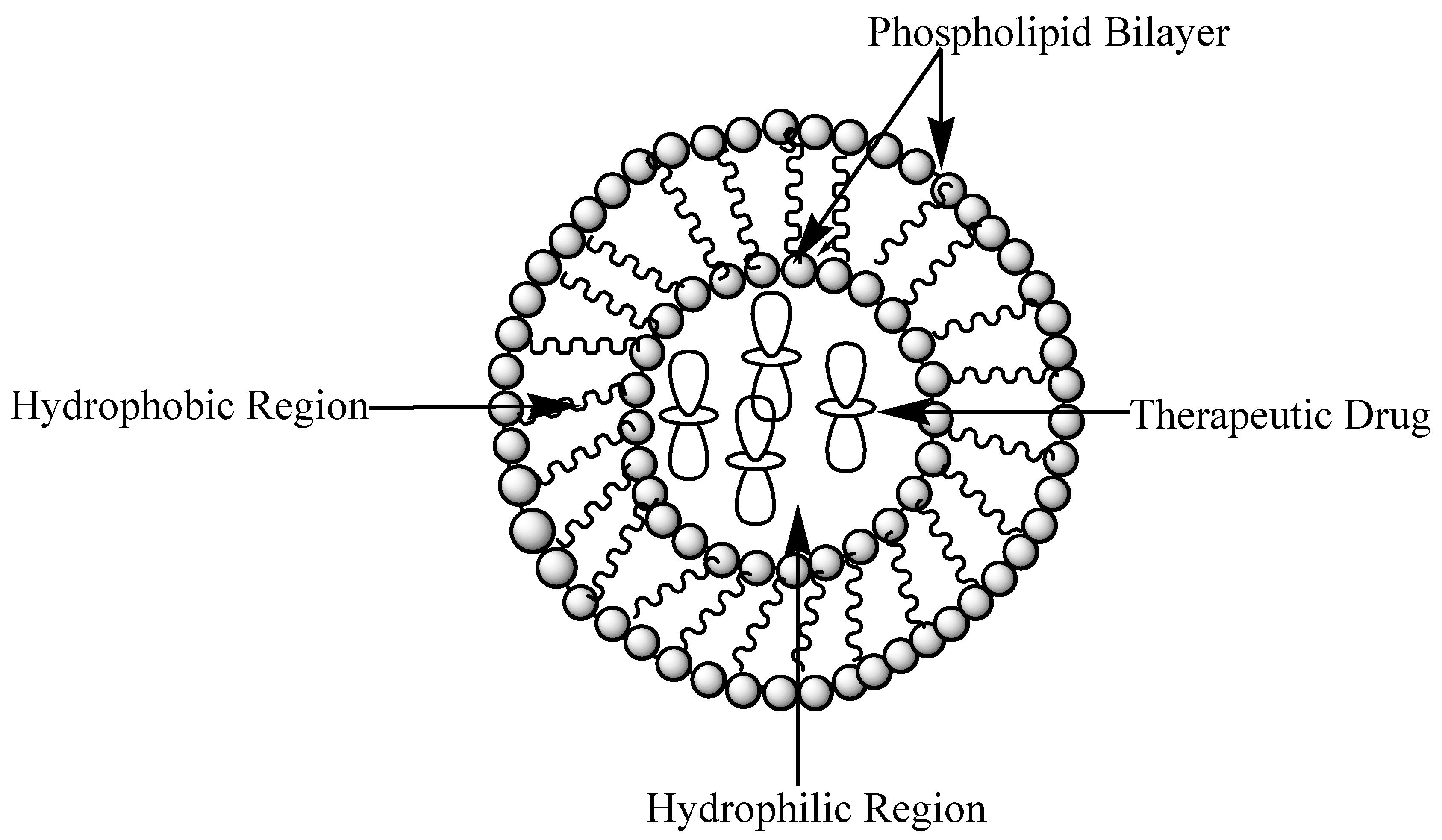 Molecules 24 03601 g022
