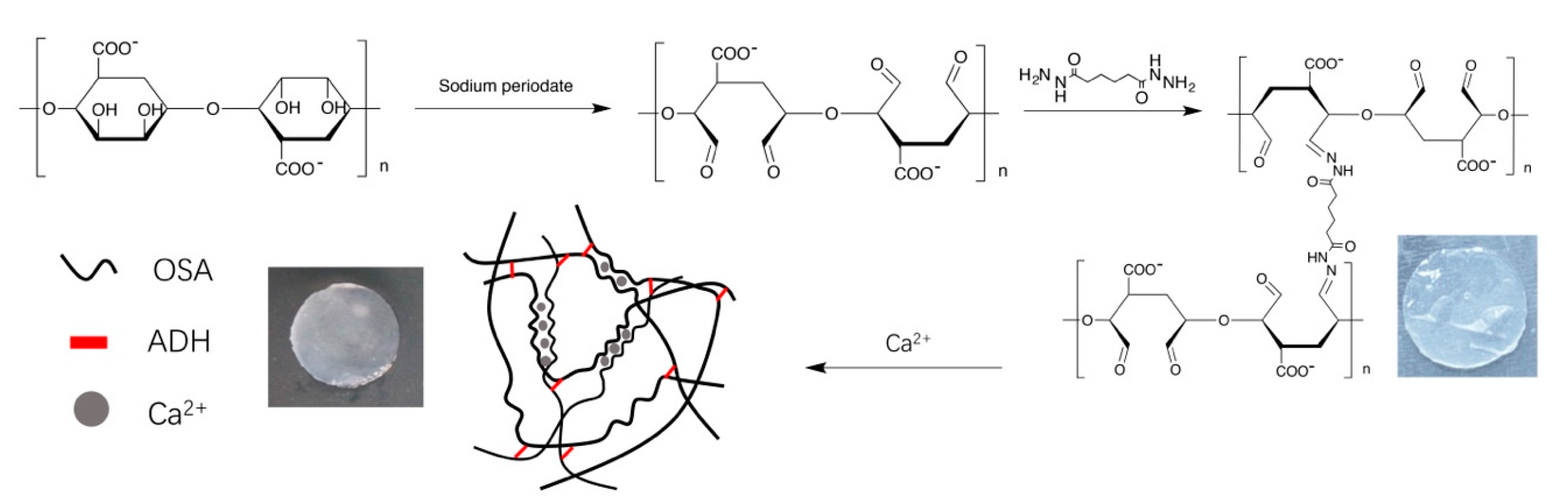 Molecules 24 03606 g001 Molecules 24 03606 g001