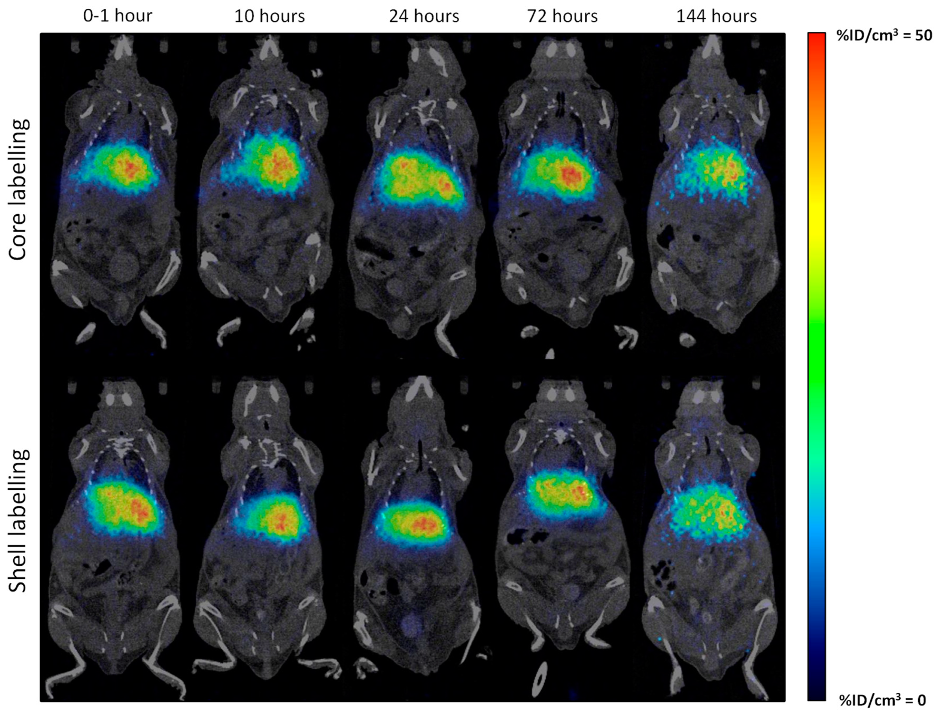 Molecules 24 03609 g005 Molecules 24 03609 g005