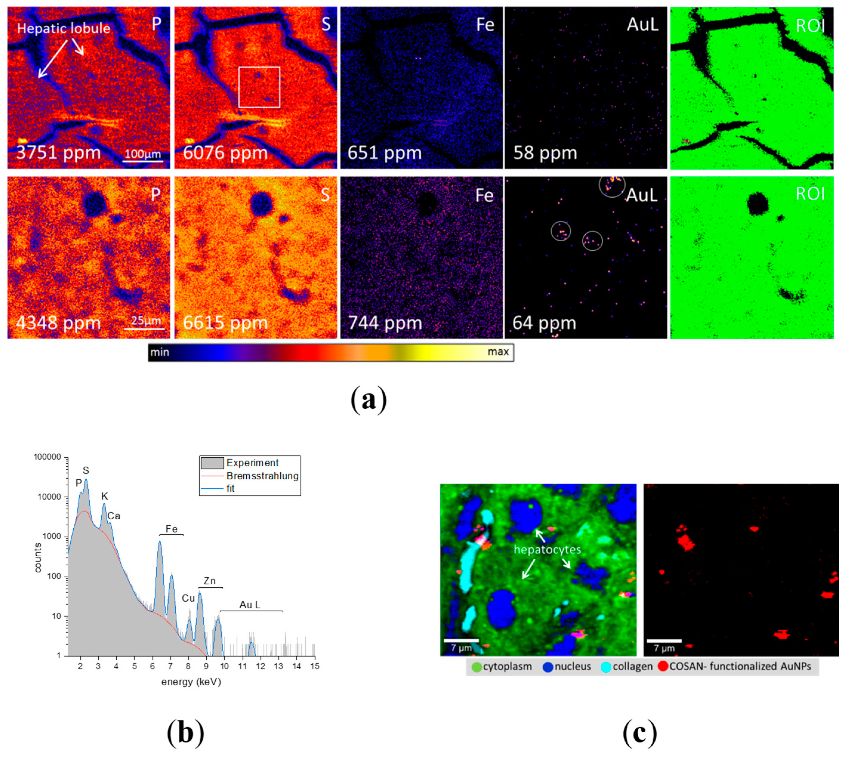 Molecules 24 03609 g007 Molecules 24 03609 g007