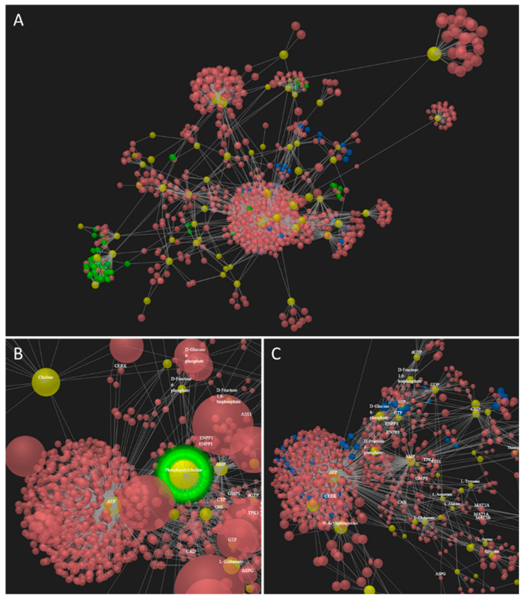 Molecules 24 03615 g004