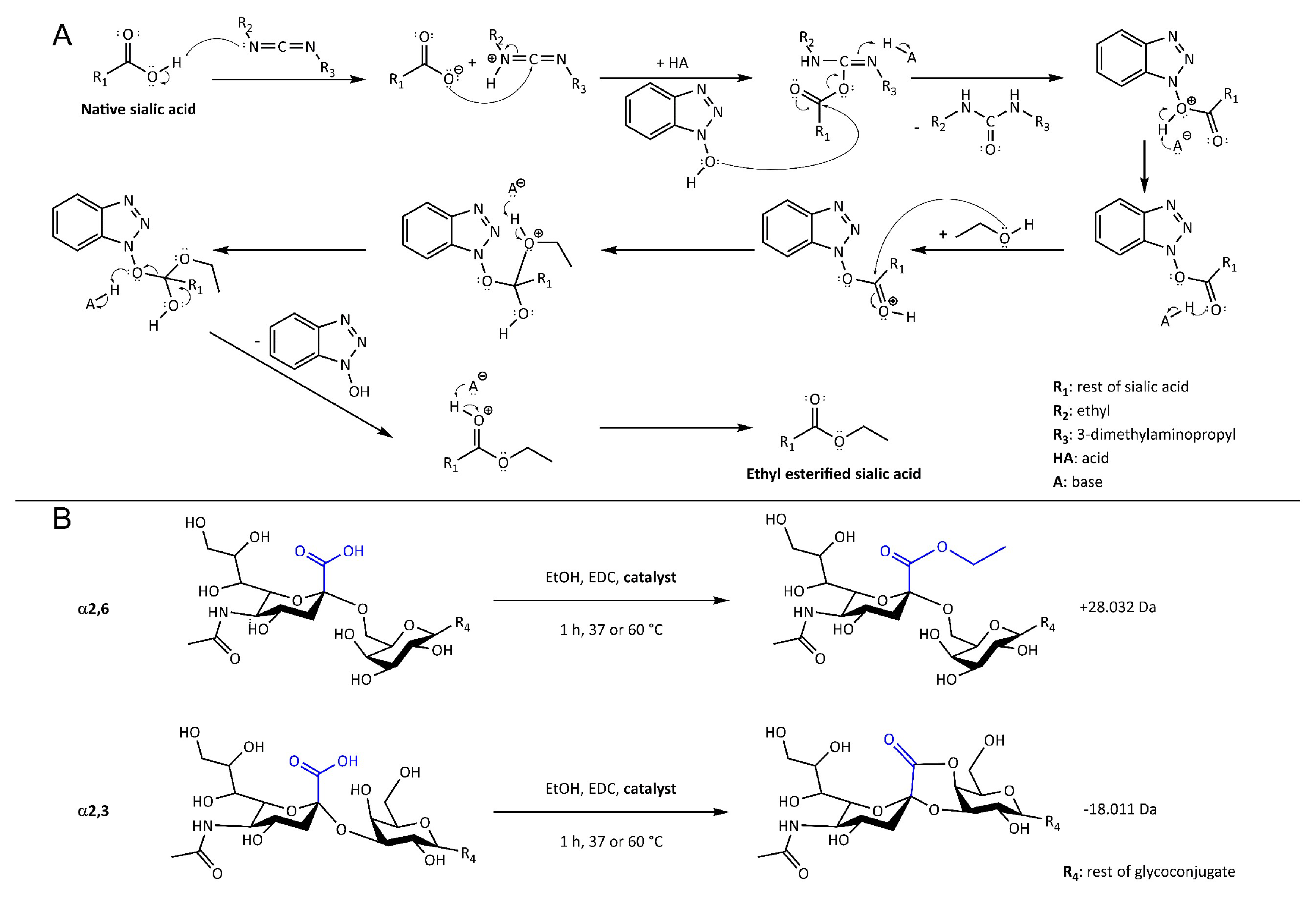 Molecules 24 03617 g002 Molecules 24 03617 g002