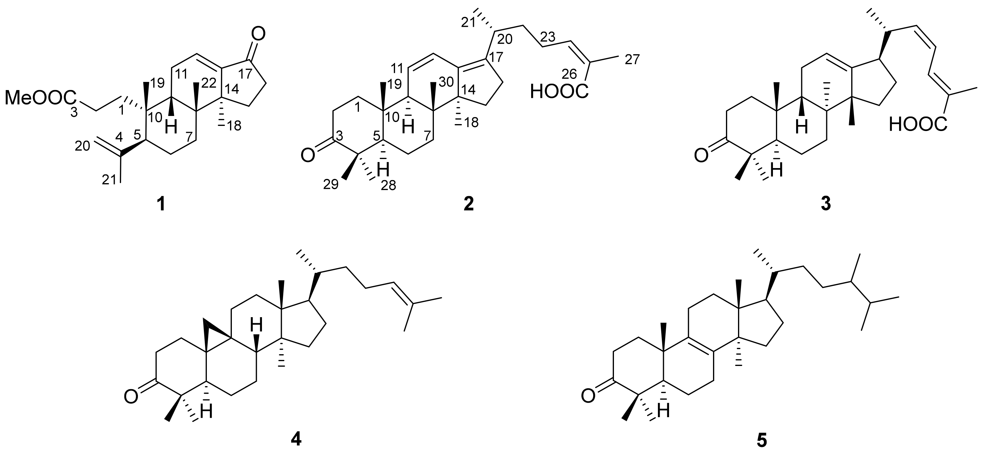 Molecules 24 03628 g001