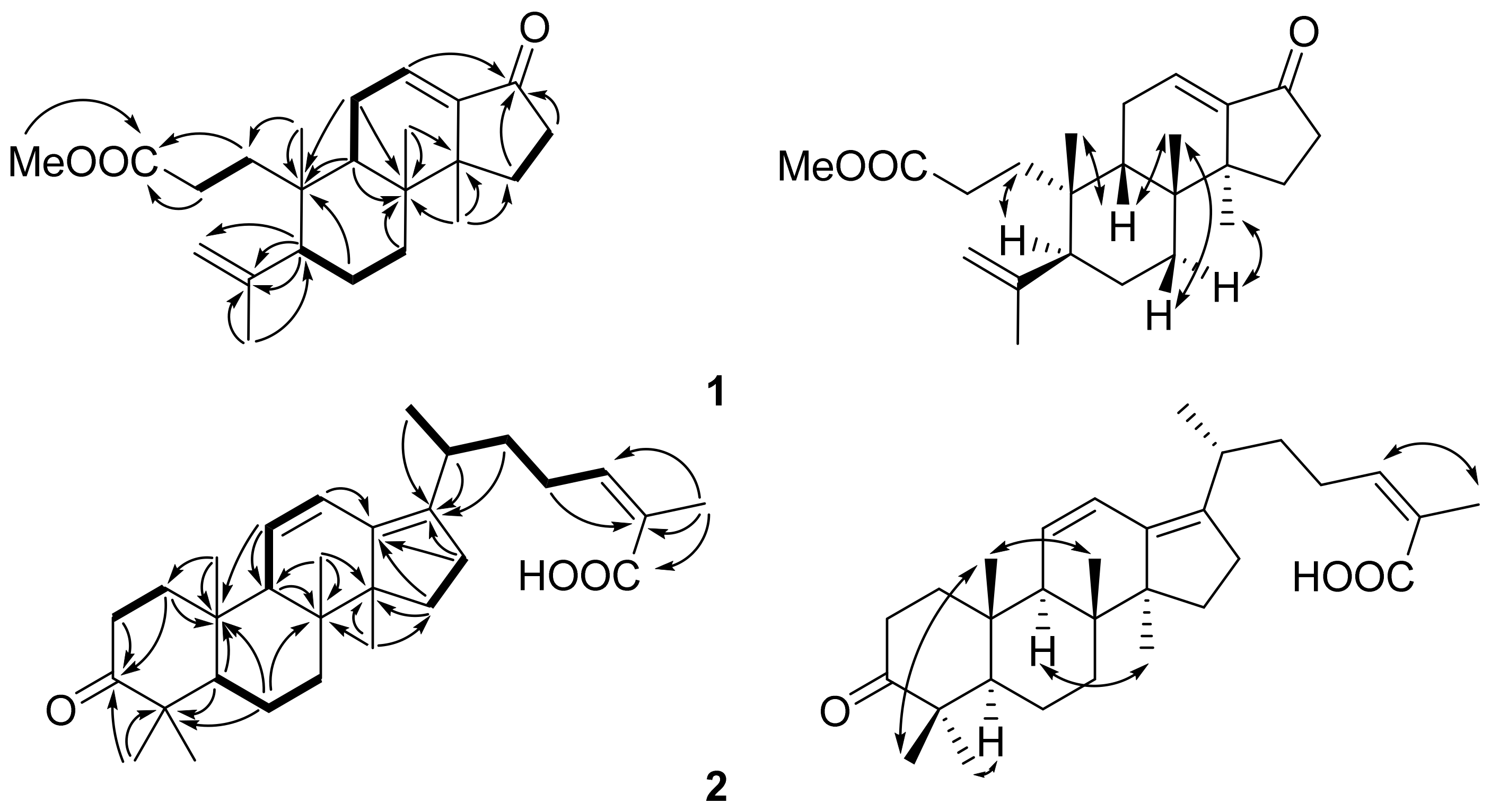 Molecules 24 03628 g002