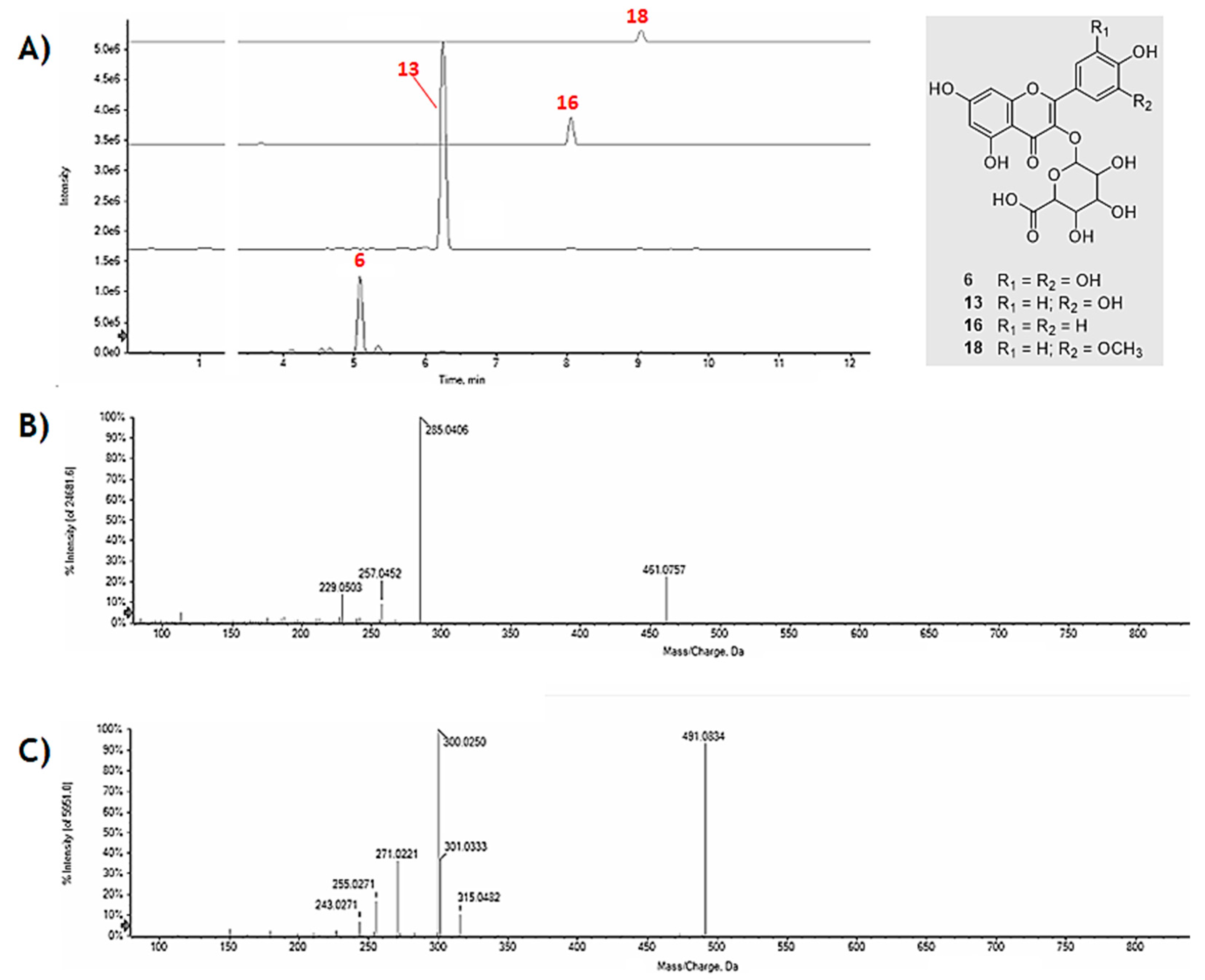 Molecules 24 03630 g003