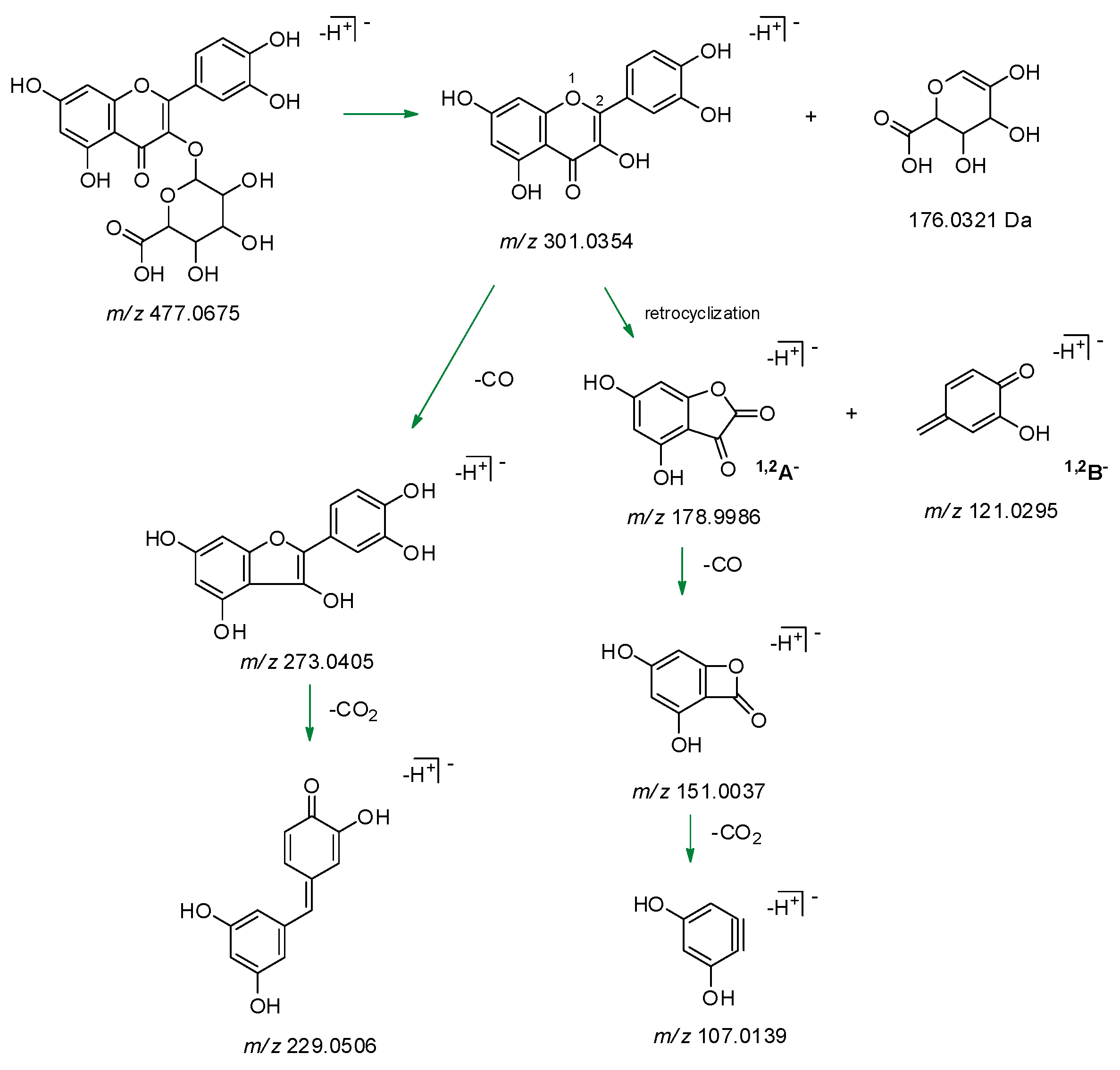 Molecules 24 03630 g007