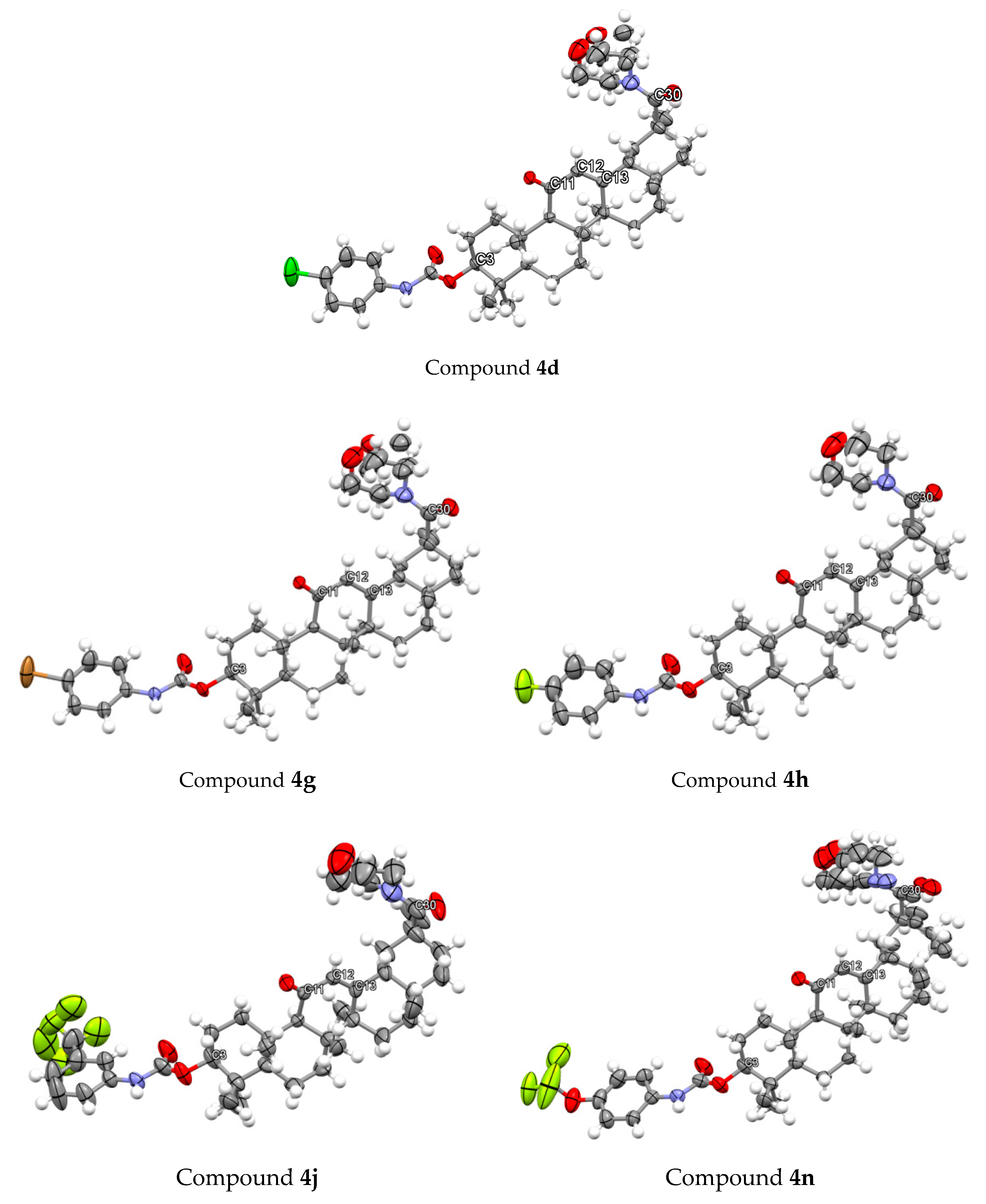 Molecules 24 03631 g004