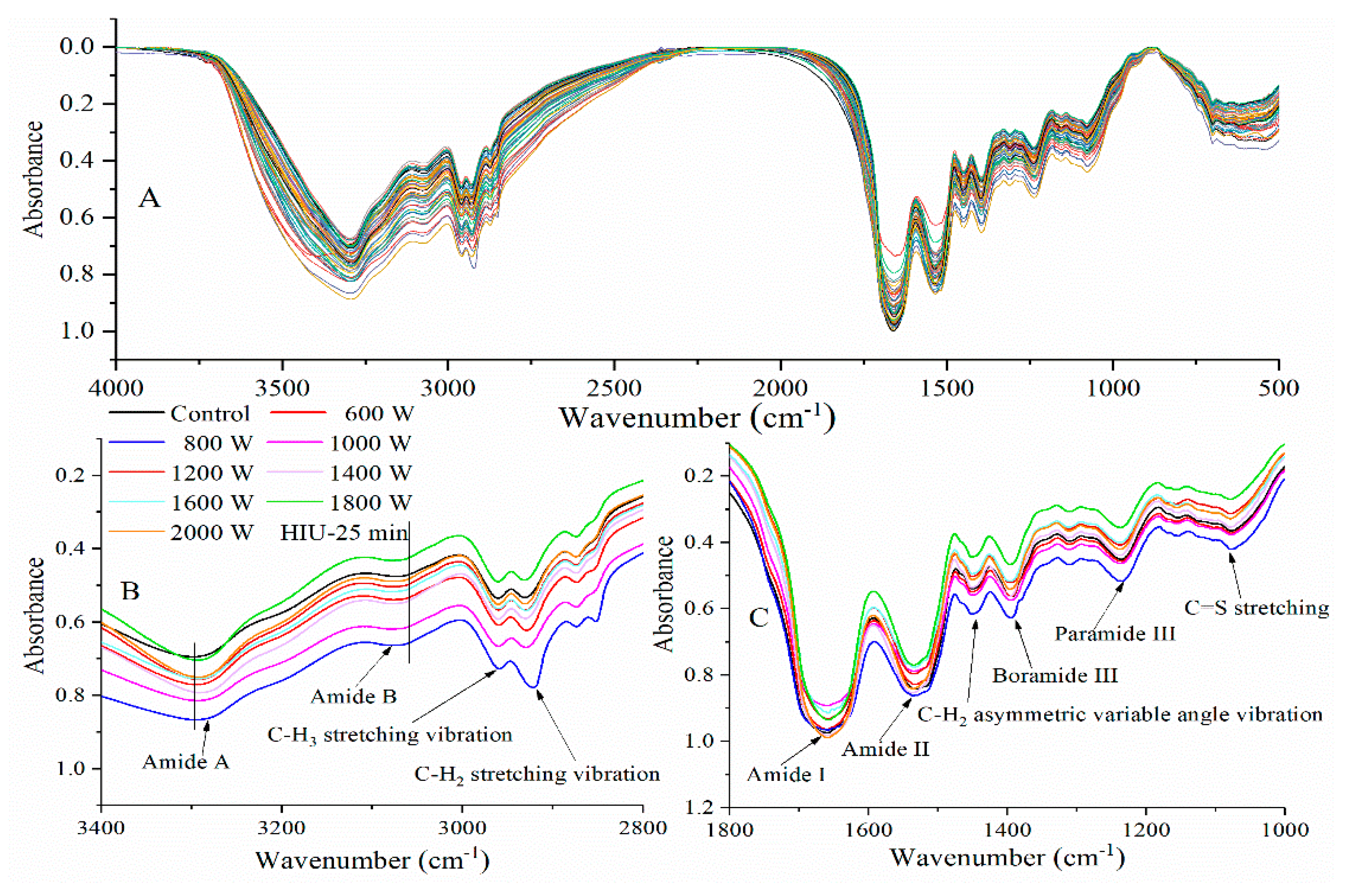 Molecules 24 03637 g002