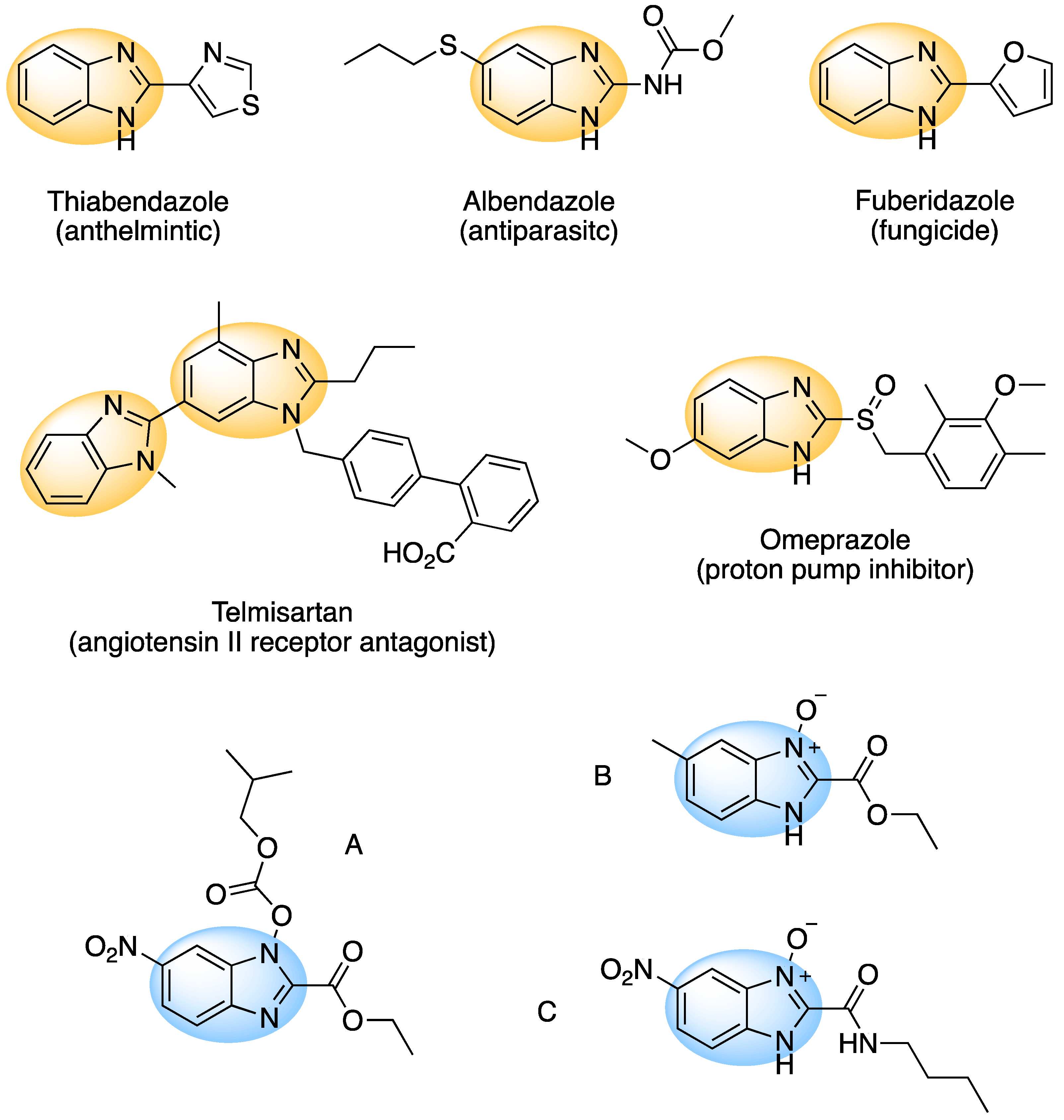 Molecules 24 03639 g001