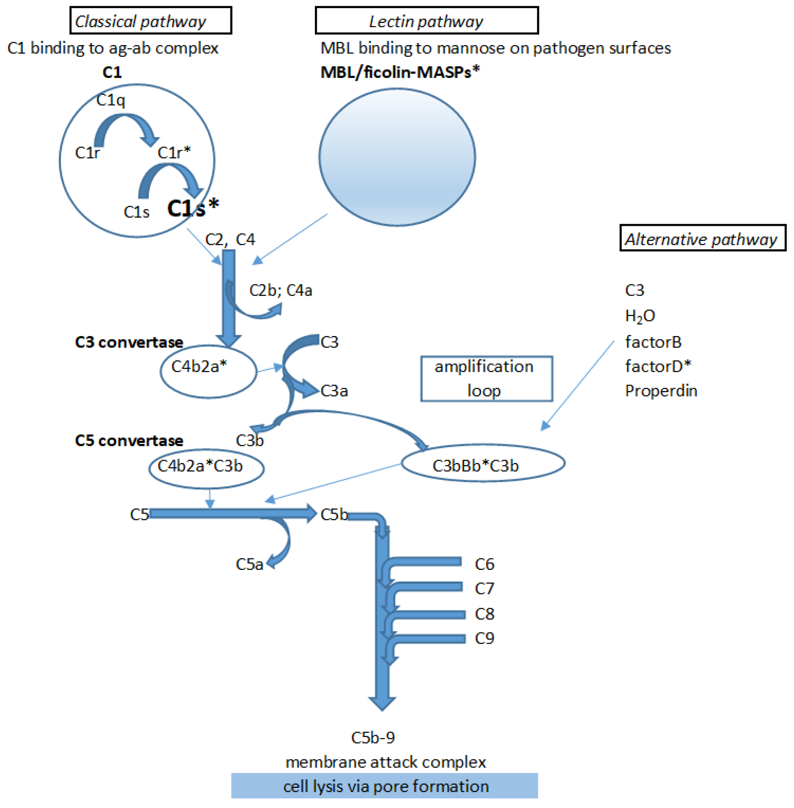 Molecules 24 03641 sch001 Molecules 24 03641 sch001