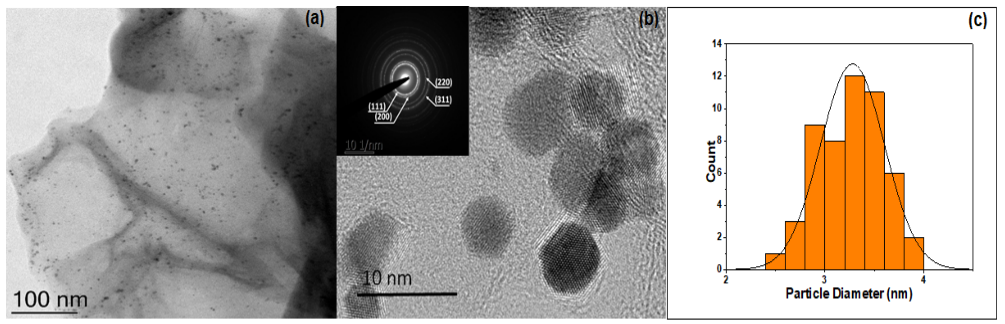 Molecules 24 03643 g001