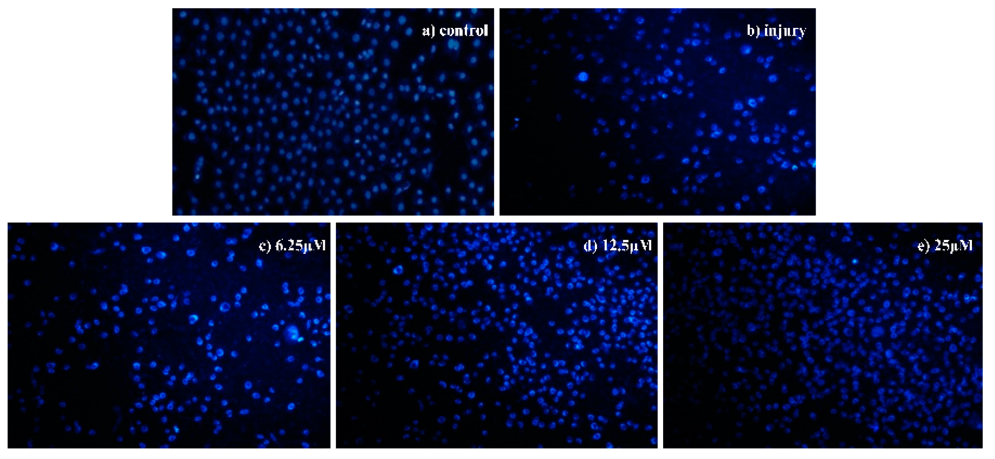 Molecules 24 03647 g003