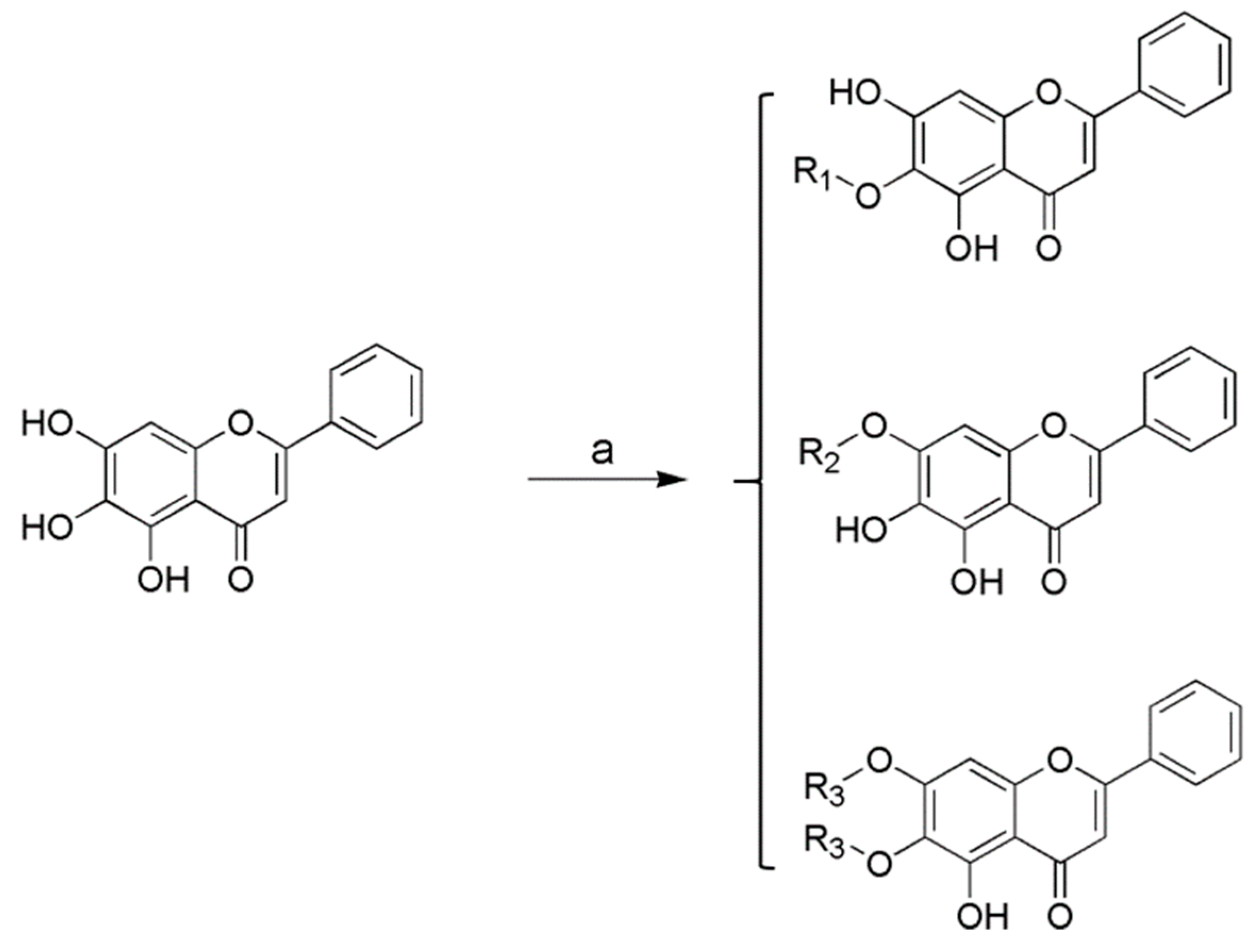 Molecules 24 03647 sch001a