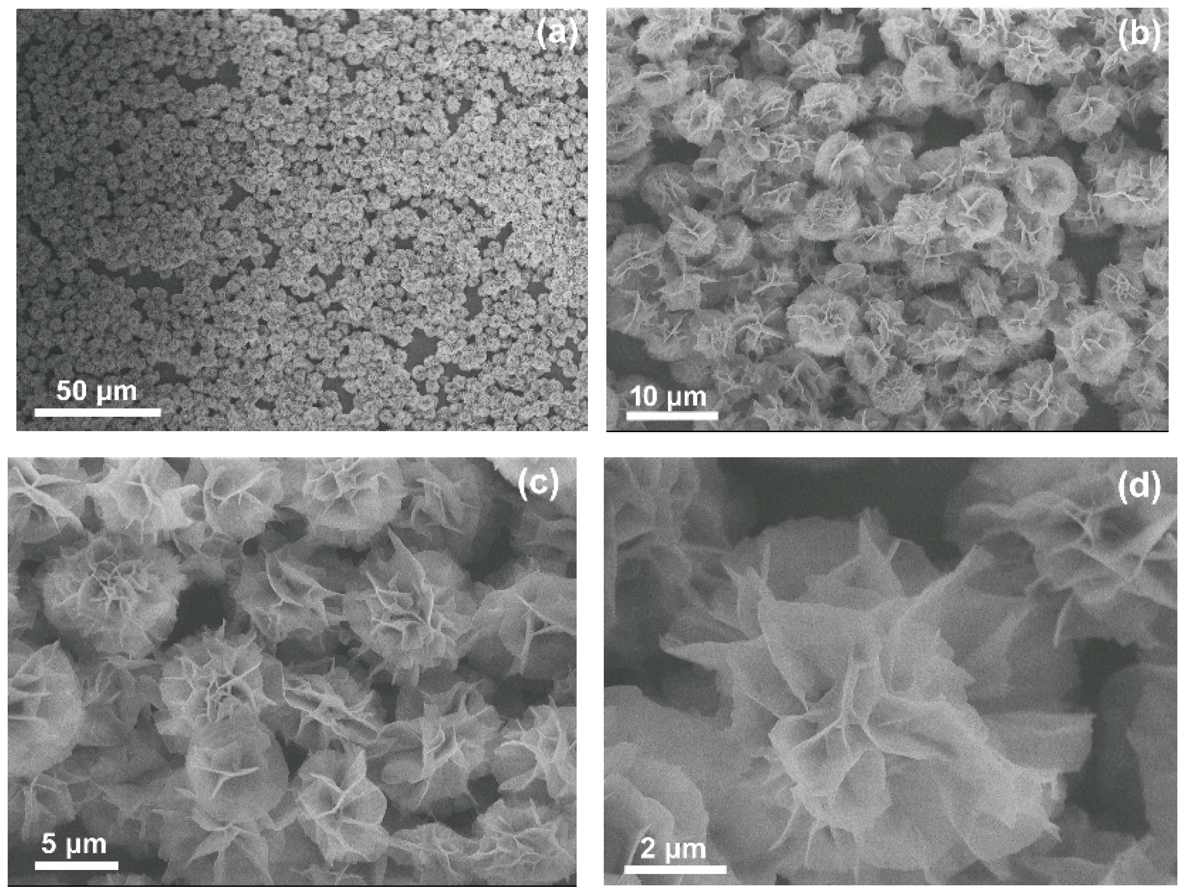 Molecules 24 03648 g001 Molecules 24 03648 g001