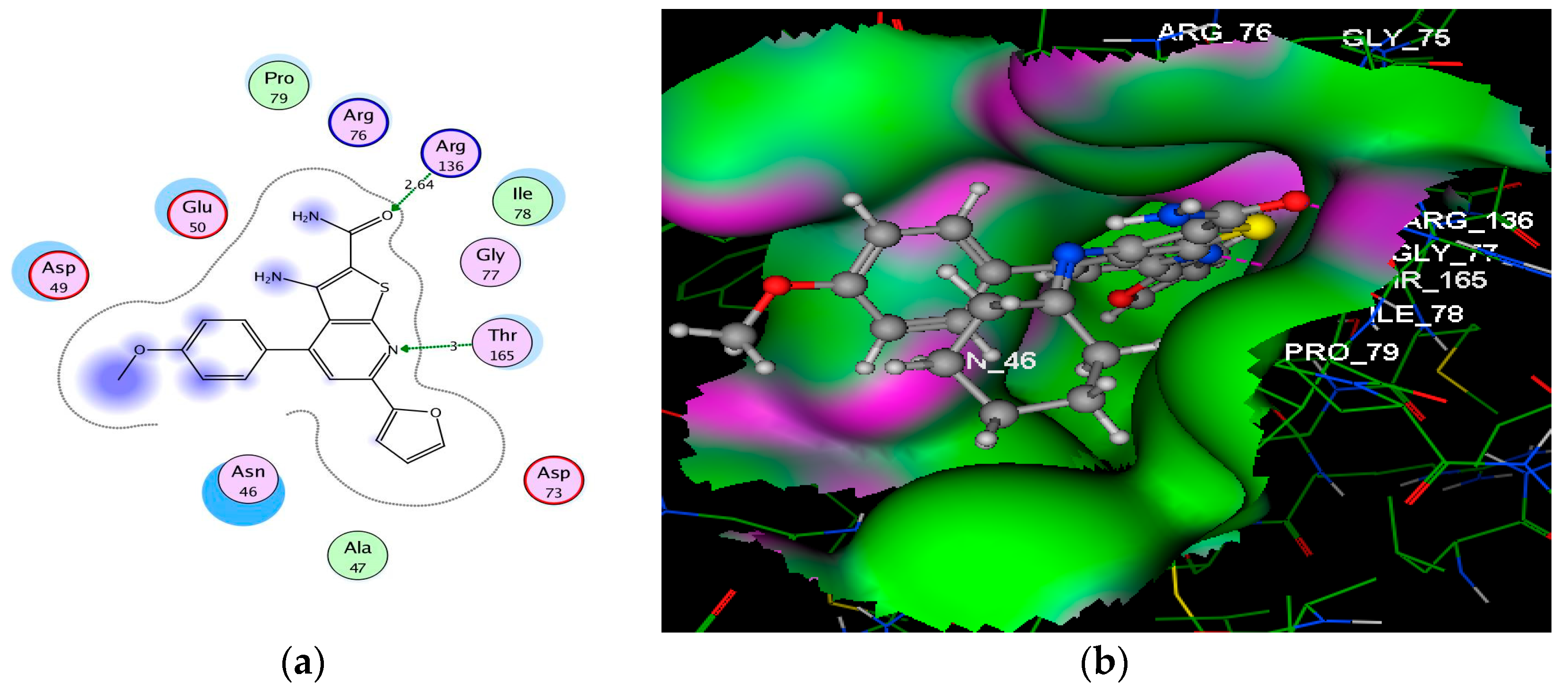 Molecules 24 03650 g003