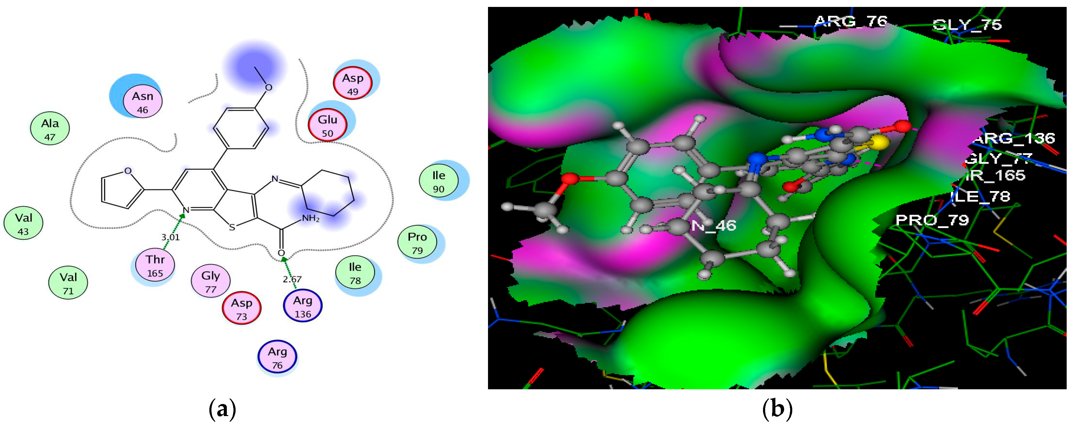 Molecules 24 03650 g004