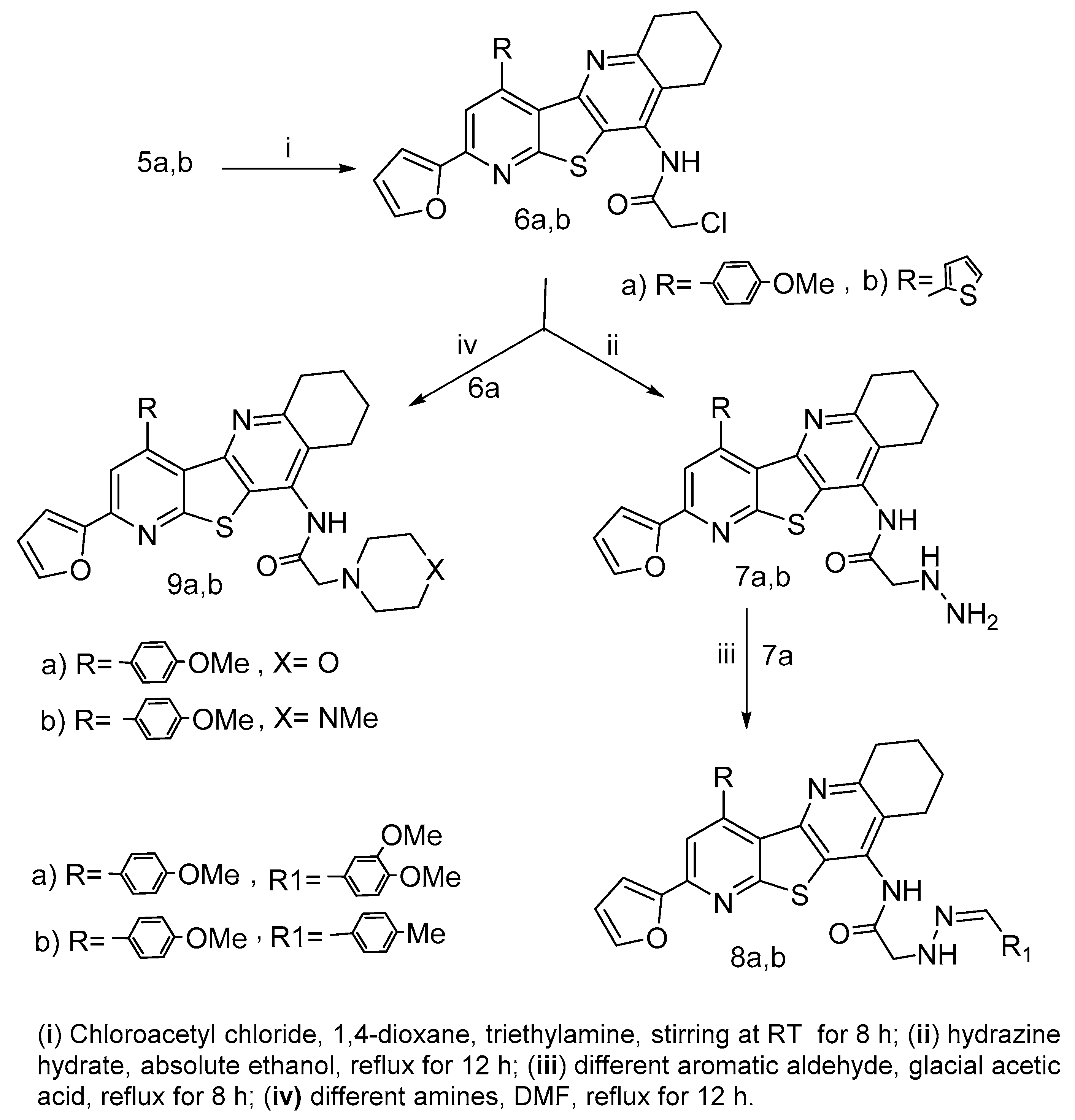 Molecules 24 03650 sch002