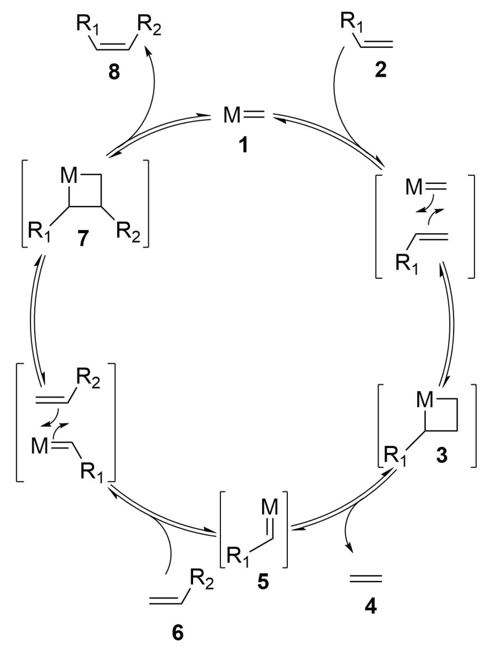 Molecules 24 03654 sch003 Molecules 24 03654 sch003