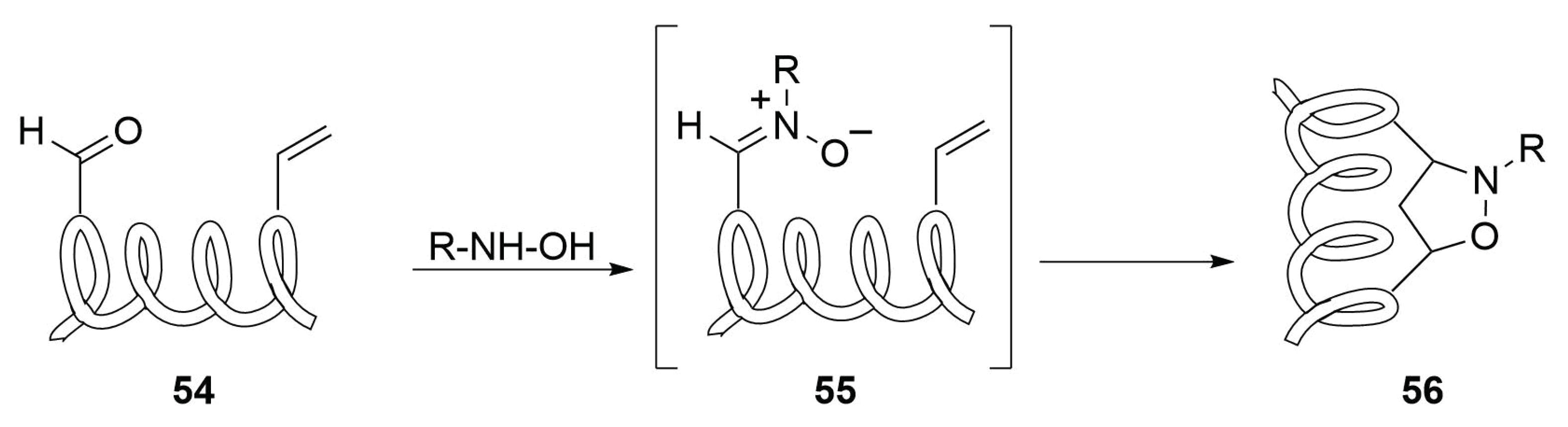 Molecules 24 03654 sch024 Molecules 24 03654 sch024