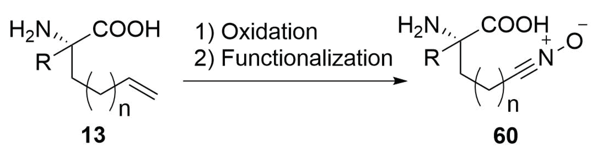 Molecules 24 03654 sch026 Molecules 24 03654 sch026