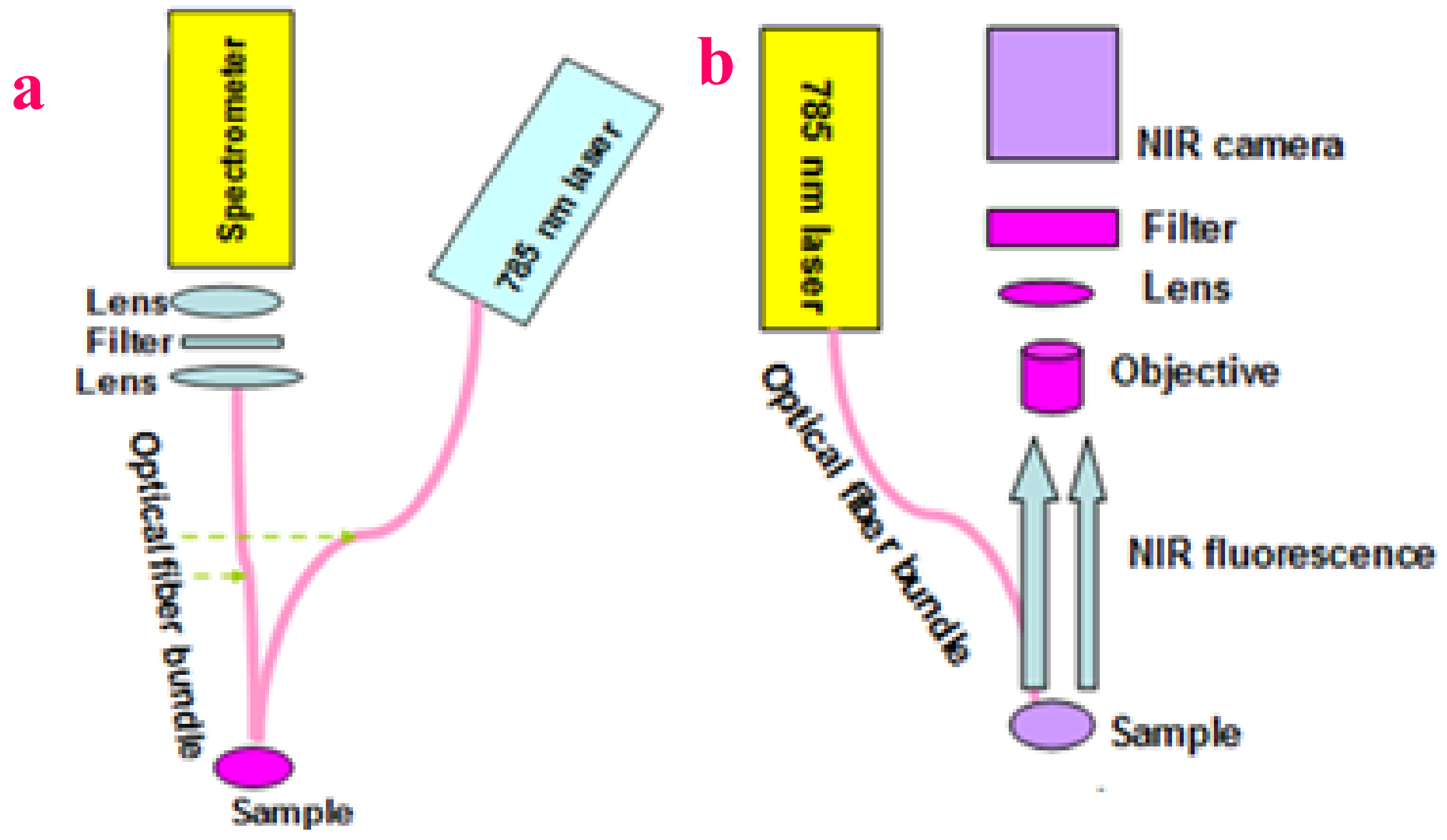 Molecules 24 03657 g013 Molecules 24 03657 g013