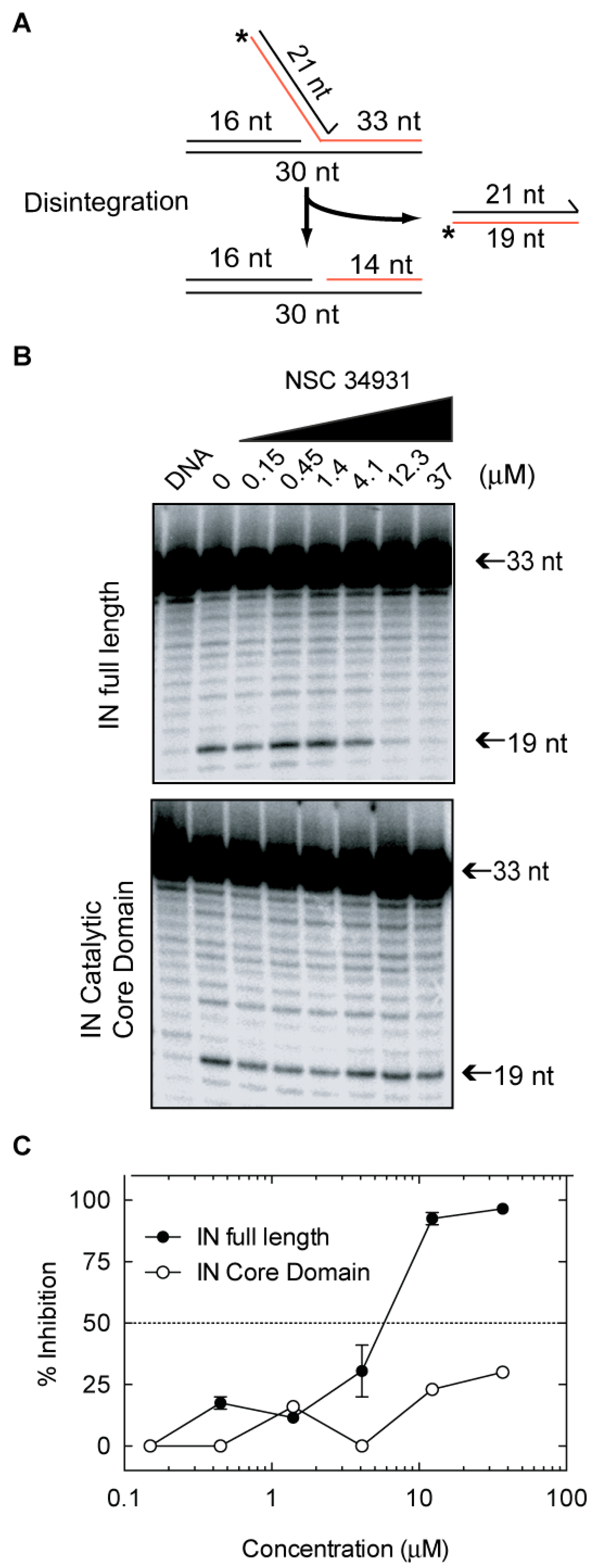 Molecules 24 03675 g003 Molecules 24 03675 g003