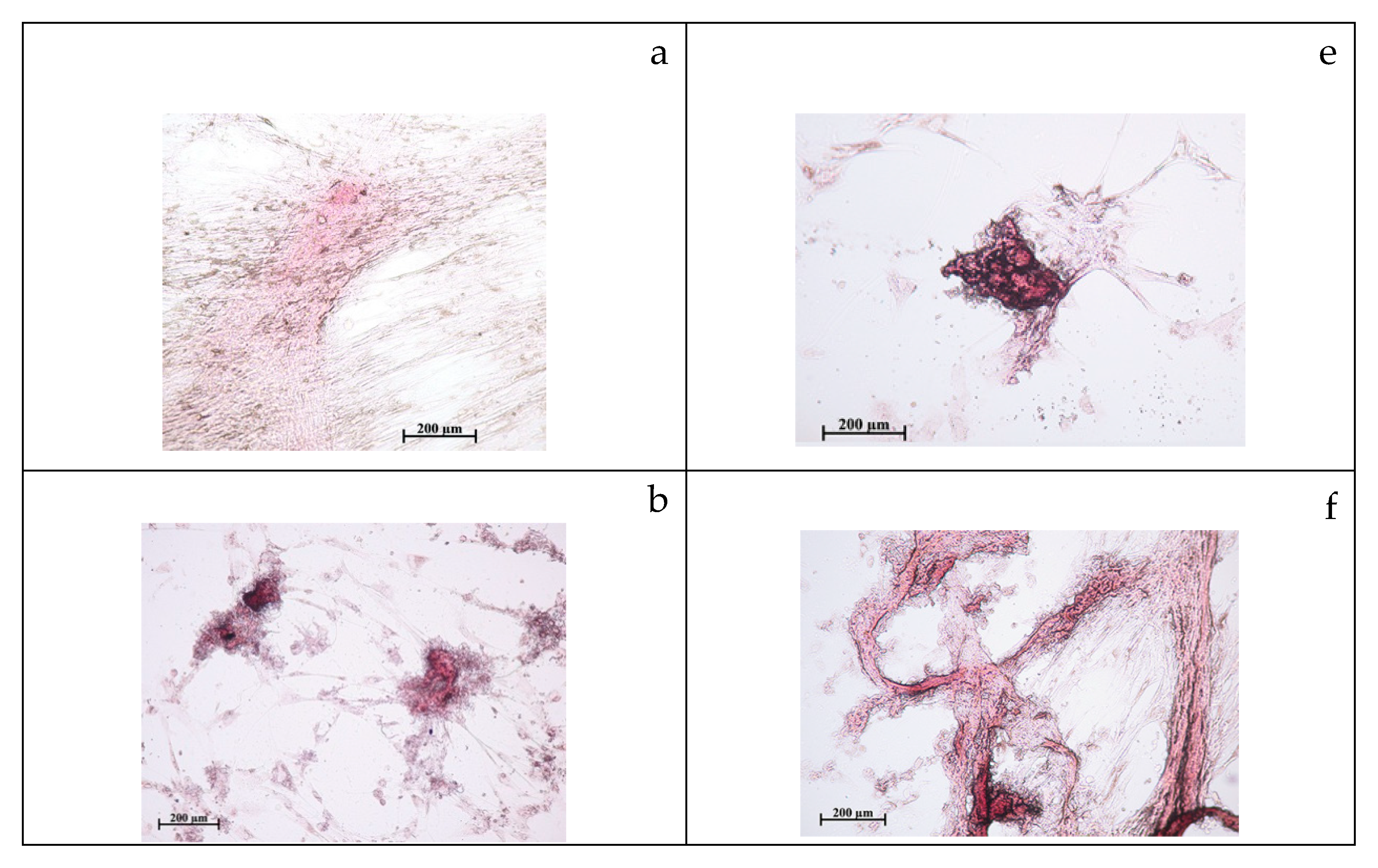 Molecules 24 03680 g001a Molecules 24 03680 g001a