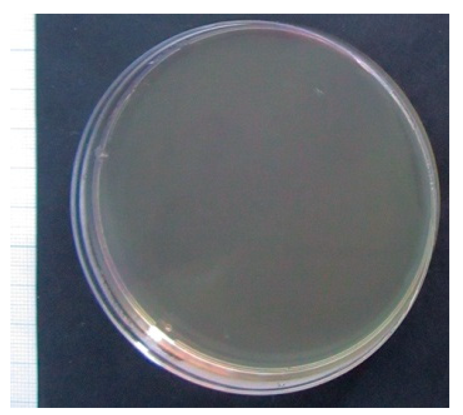 Molecules 24 03680 g002 Molecules 24 03680 g002