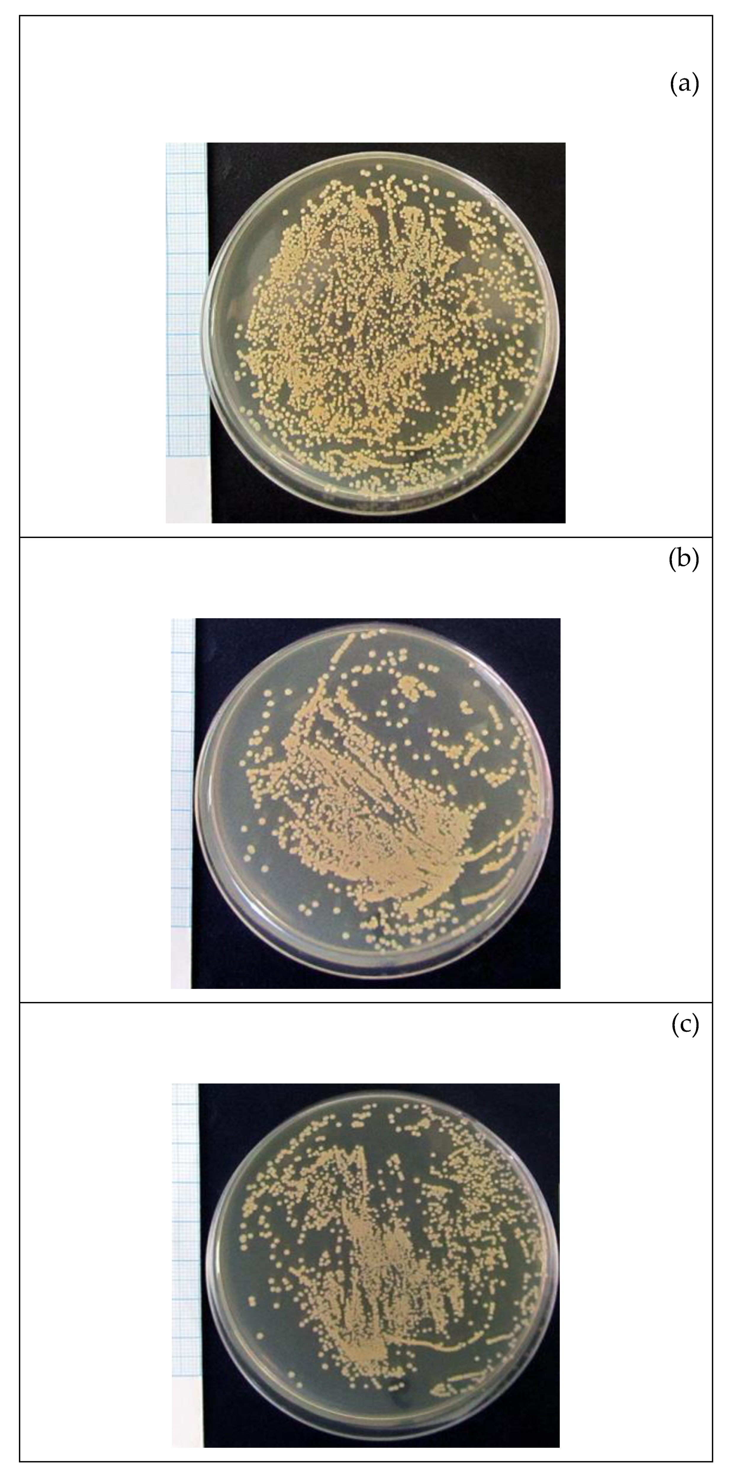 Molecules 24 03680 g003 Molecules 24 03680 g003