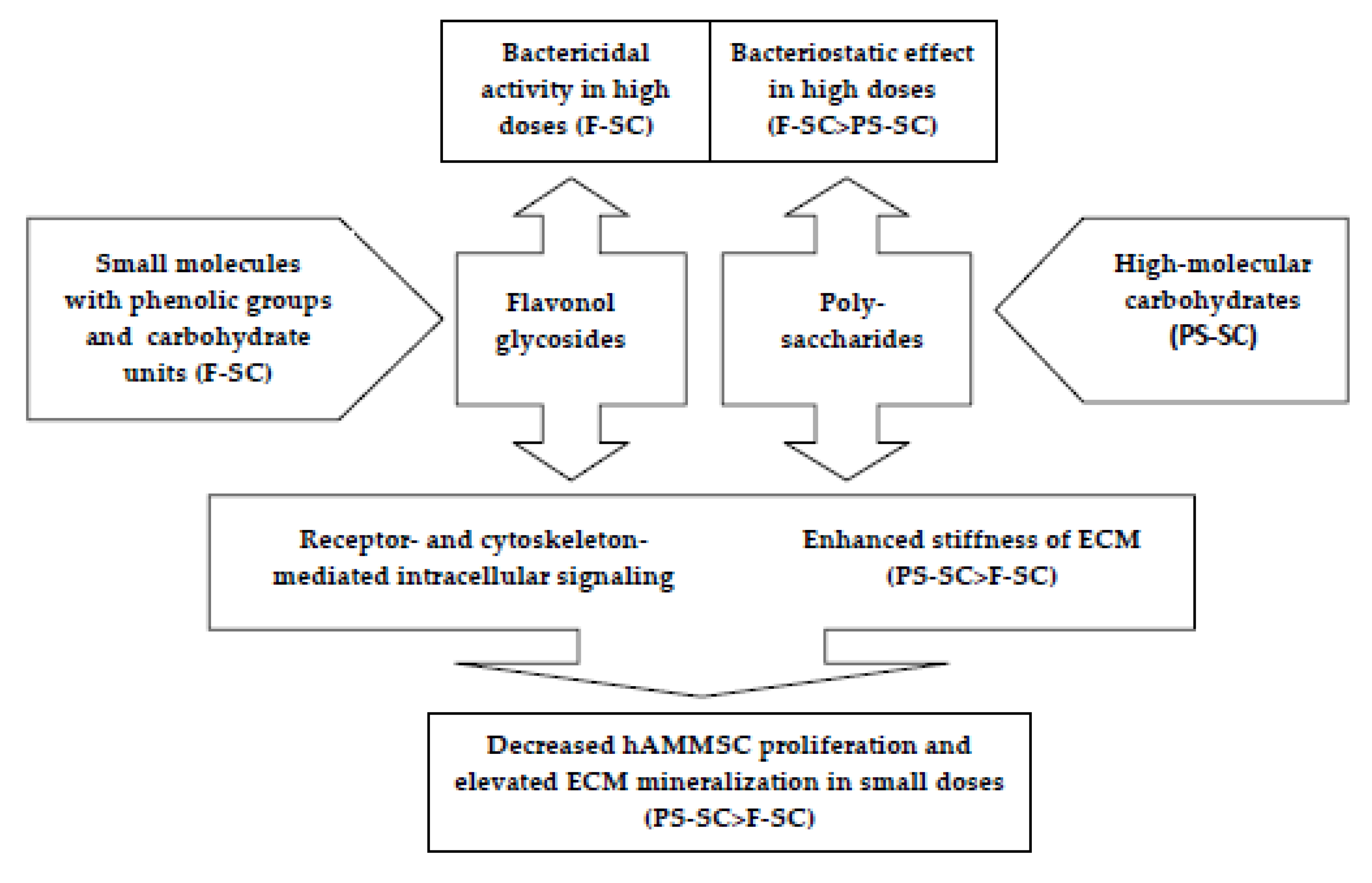 Molecules 24 03680 g004 Molecules 24 03680 g004