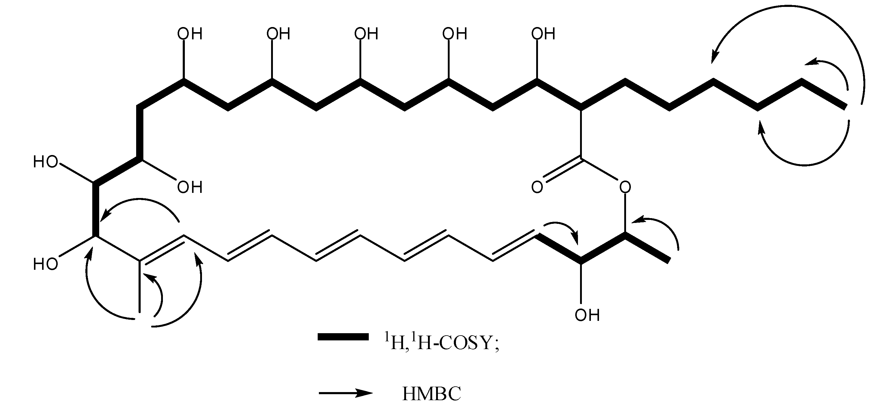Molecules 24 03686 g003