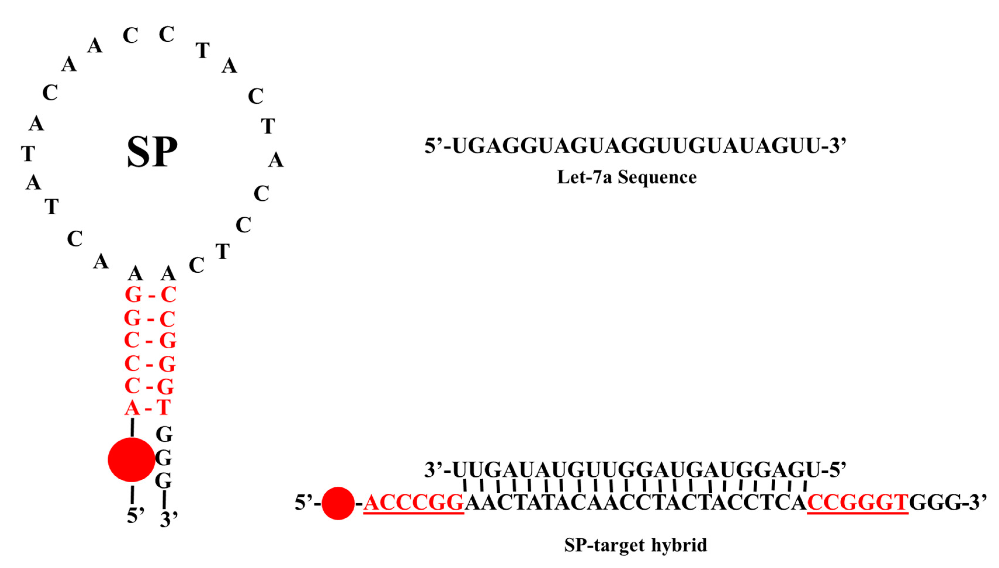 Molecules 24 03691 g001 Molecules 24 03691 g001