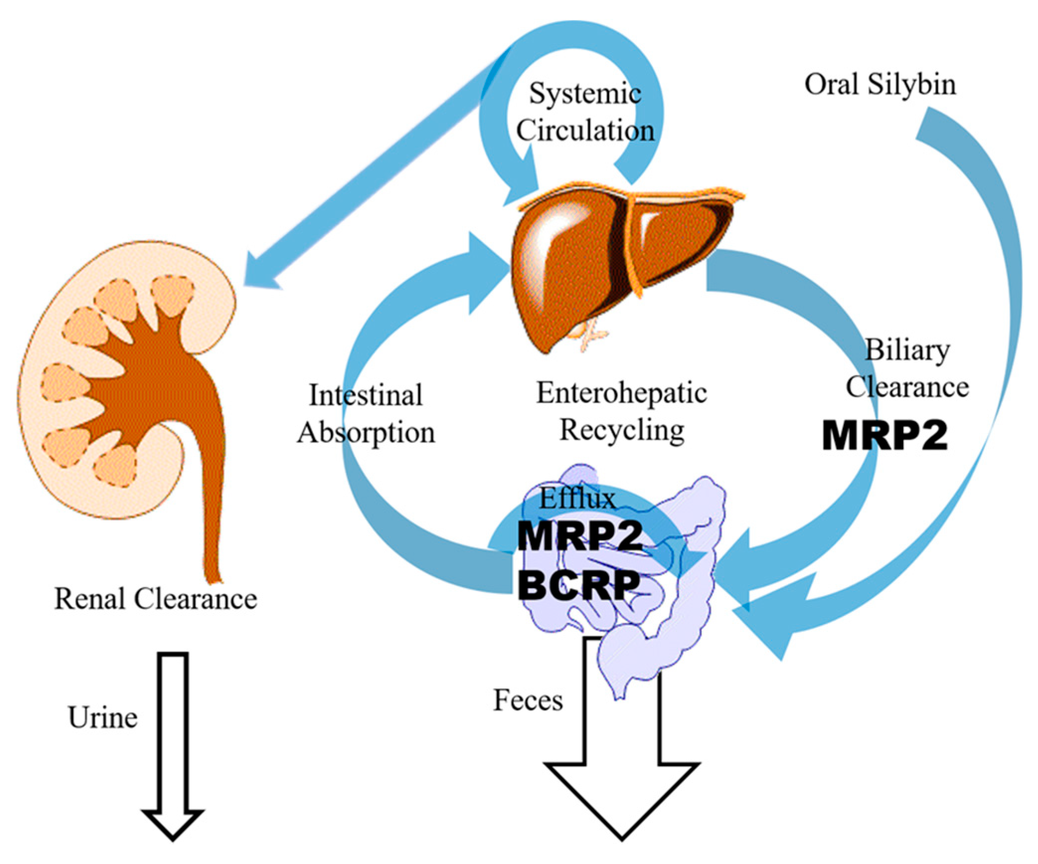 Molecules 24 03693 g002 Molecules 24 03693 g002