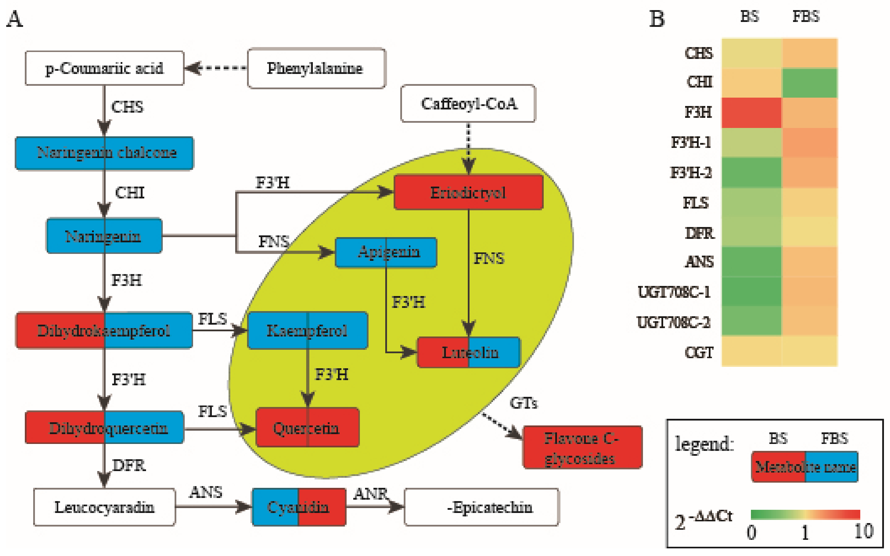 Molecules 24 03695 g004 Molecules 24 03695 g004