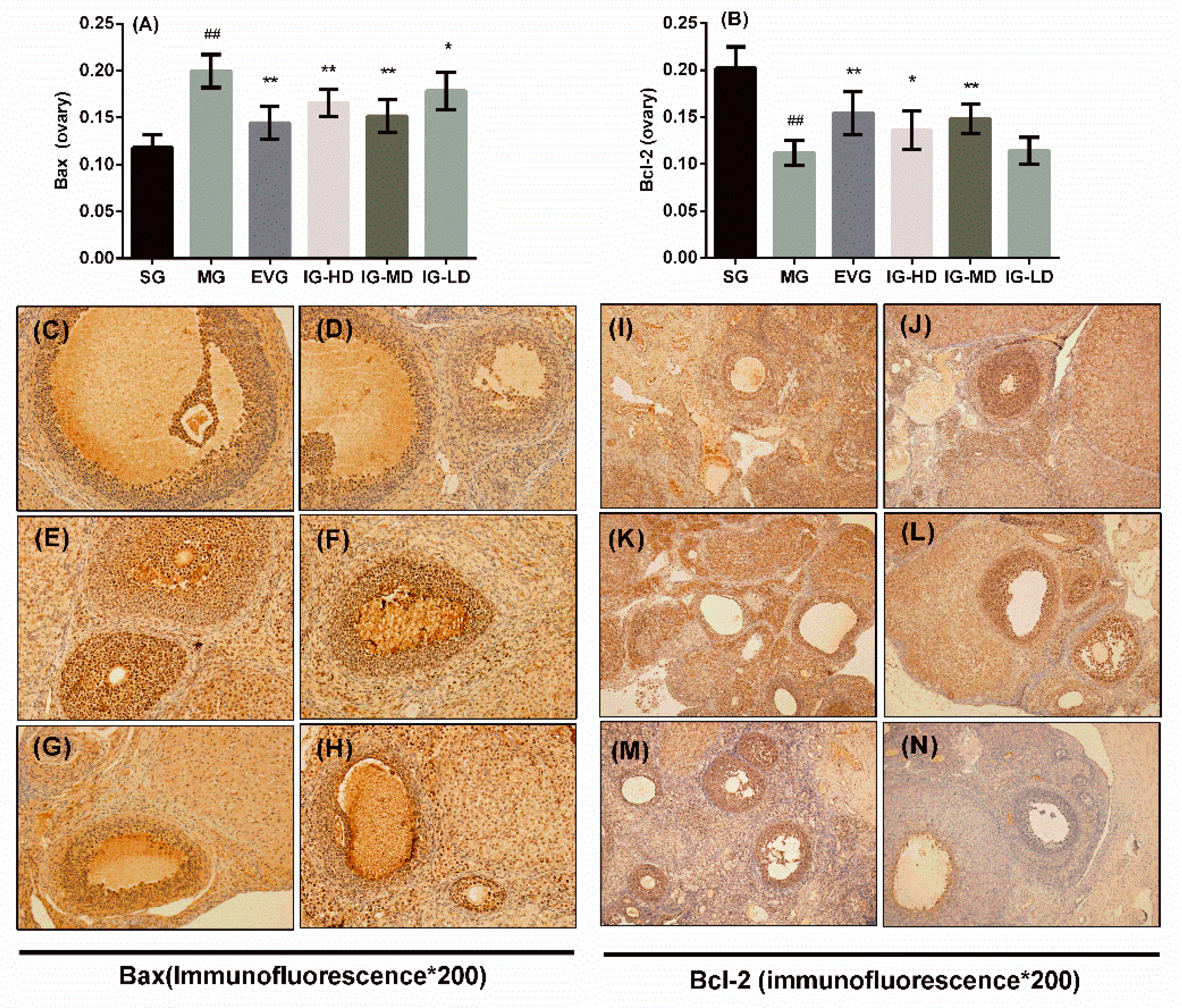 Molecules 24 03700 g007