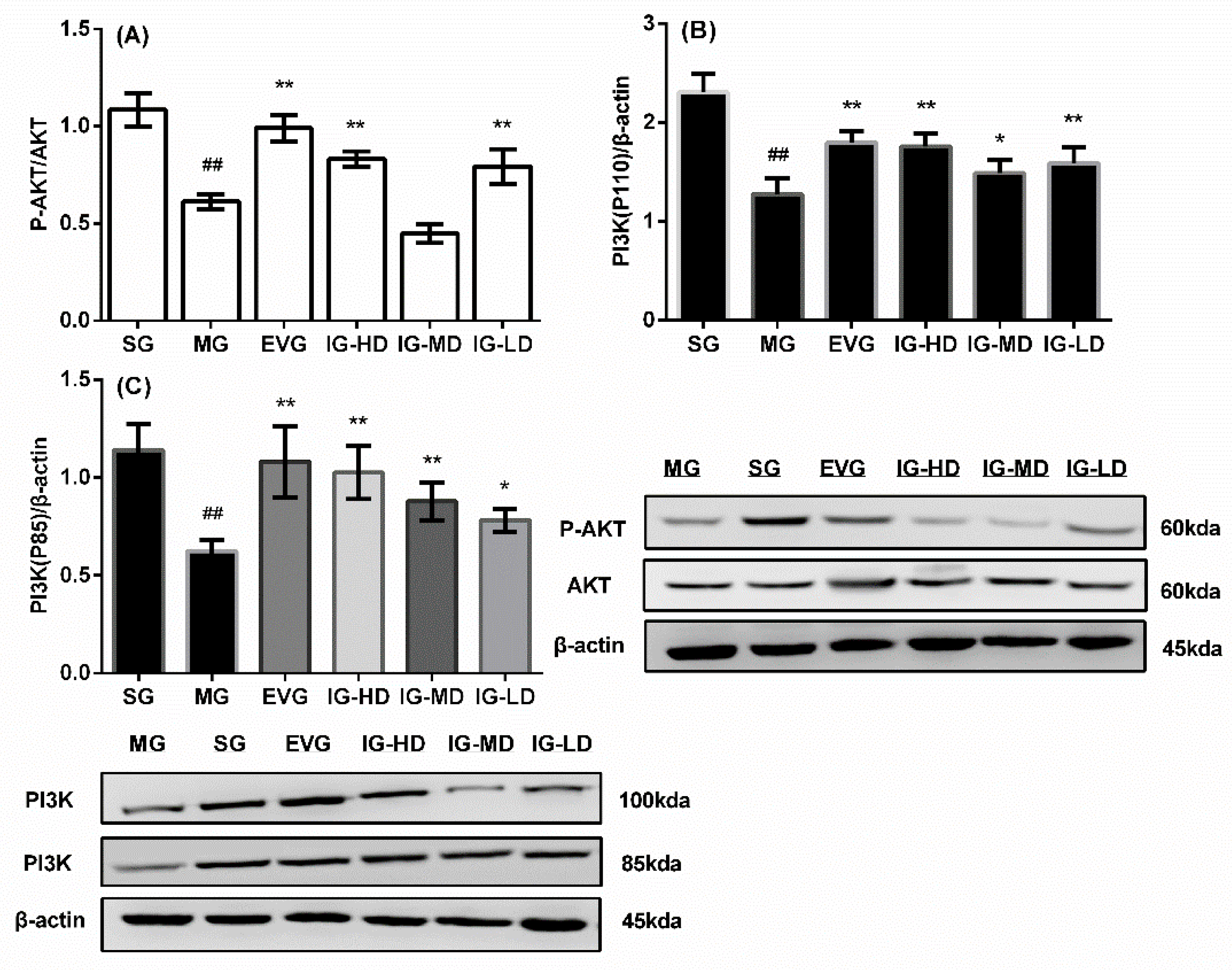 Molecules 24 03700 g008