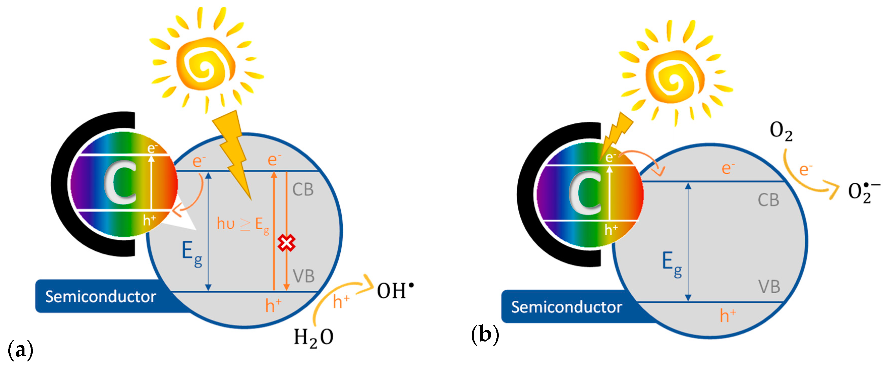 Molecules 24 03702 g002