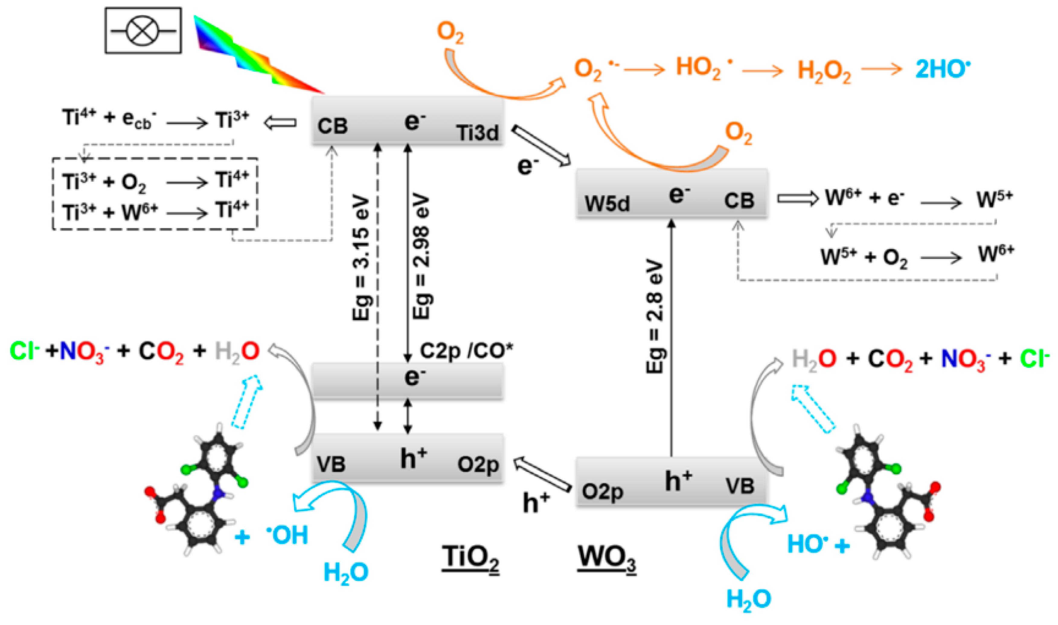 Molecules 24 03702 g004