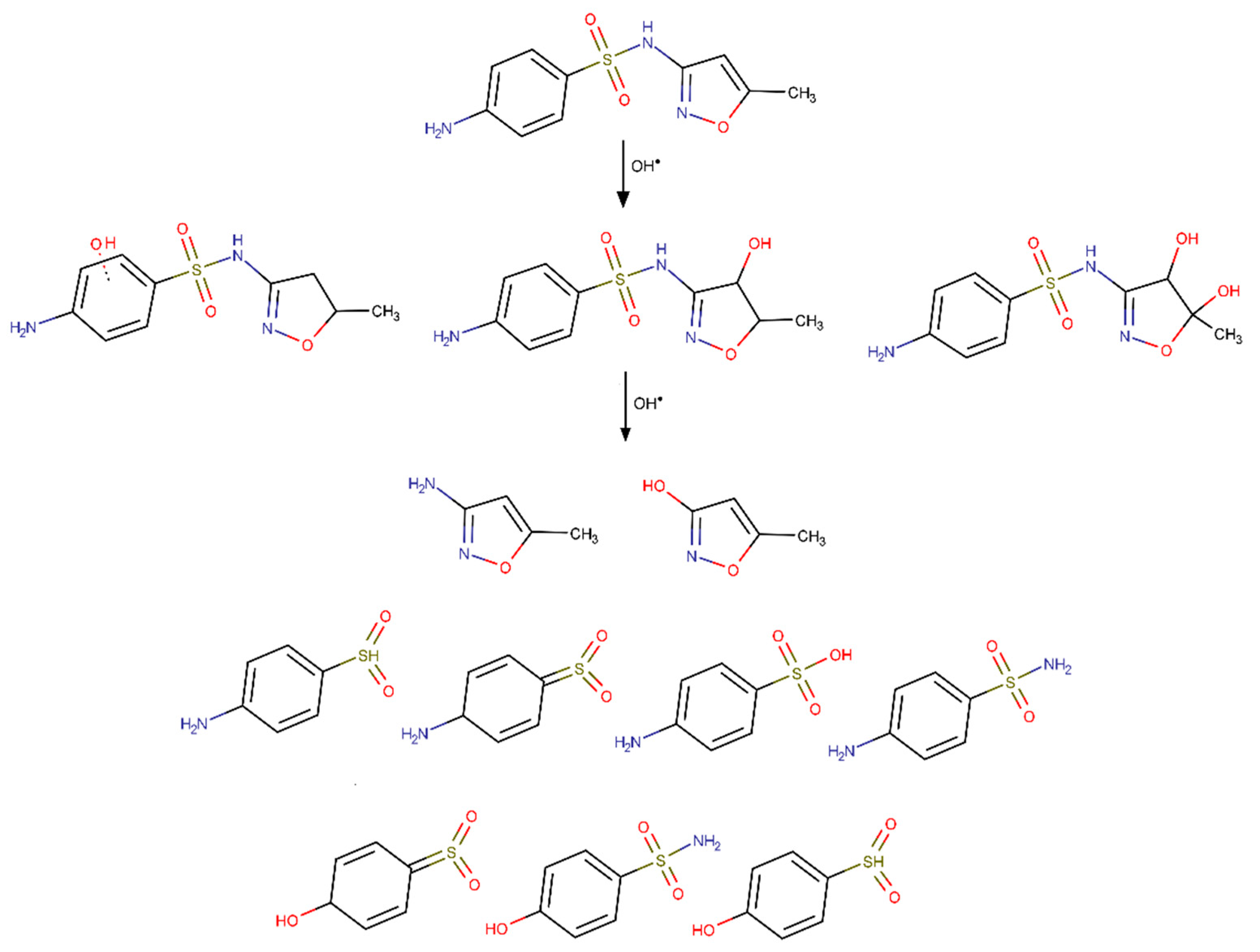 Molecules 24 03702 g006