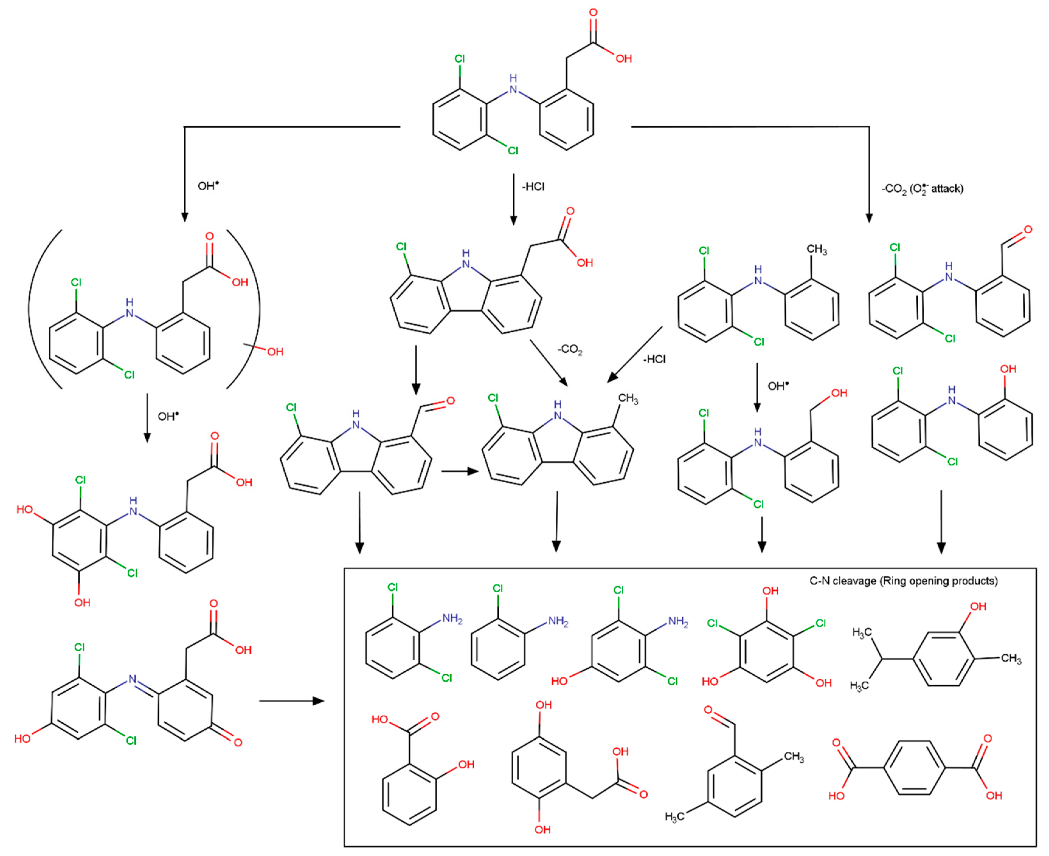 Molecules 24 03702 g007