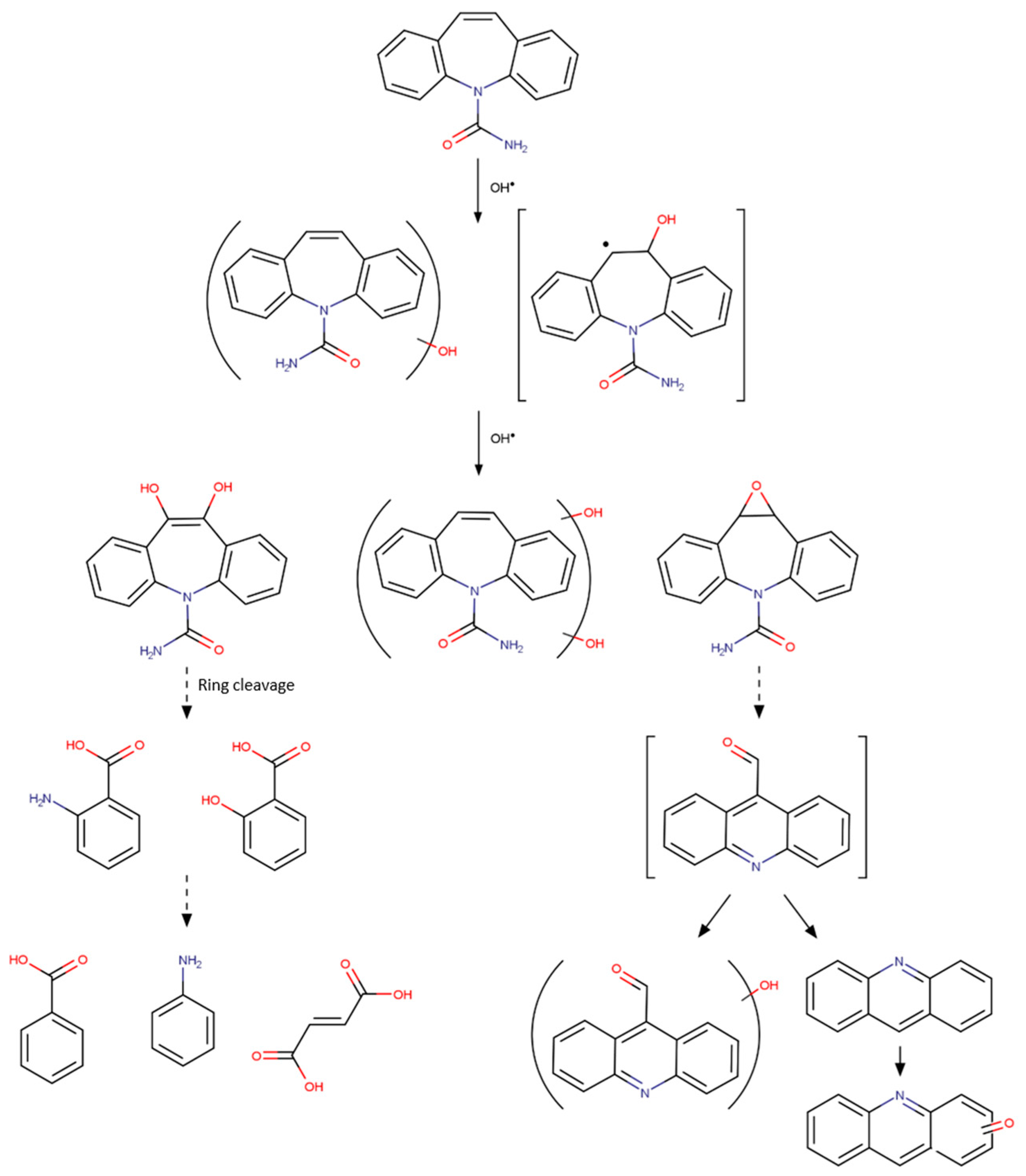 Molecules 24 03702 g008