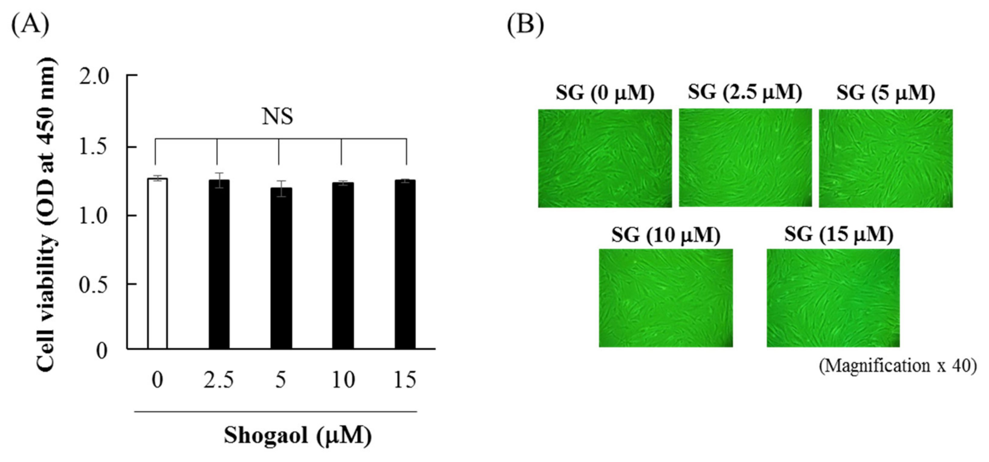 Molecules 24 03705 g001
