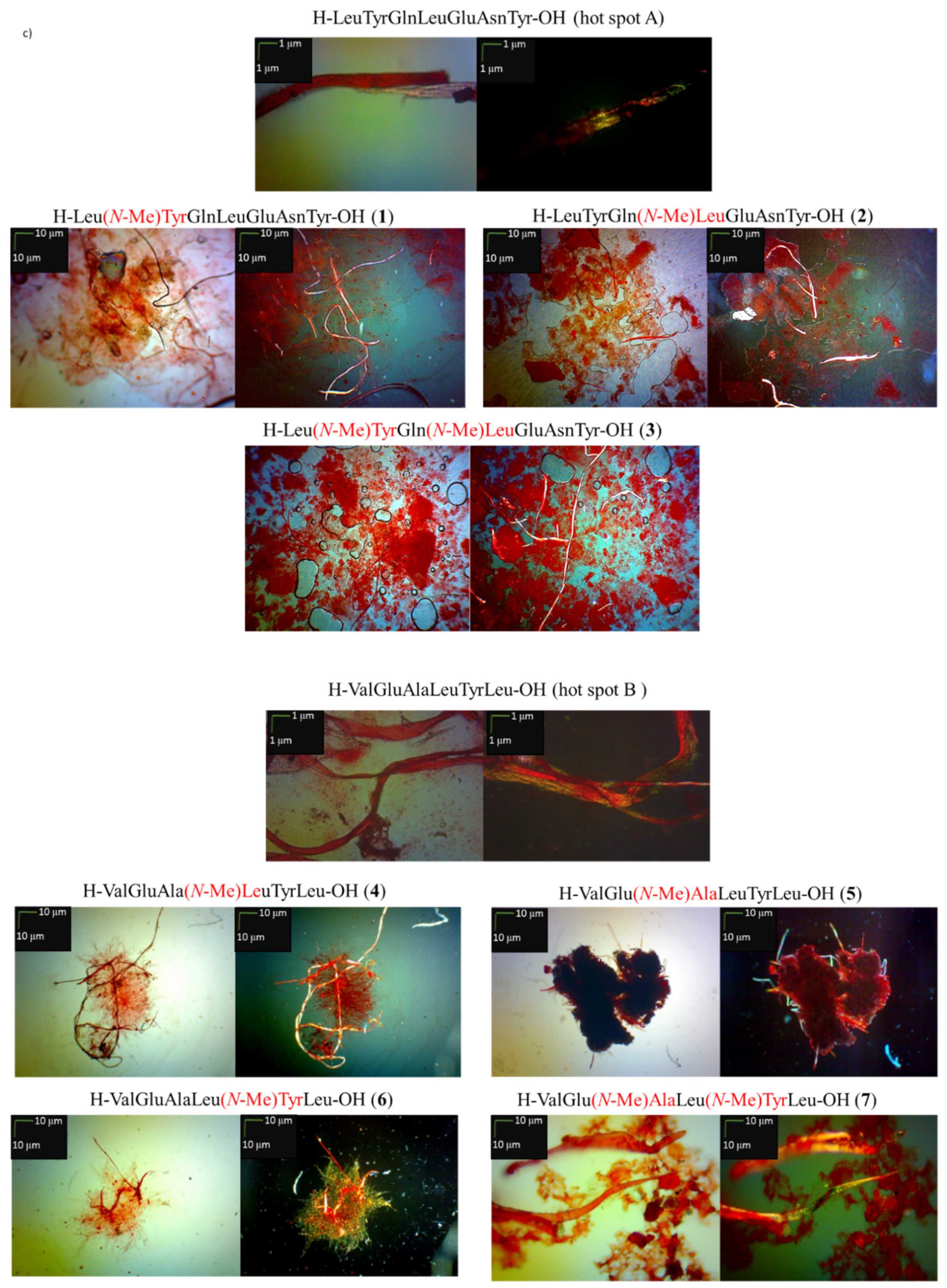 Molecules 24 03706 g001b