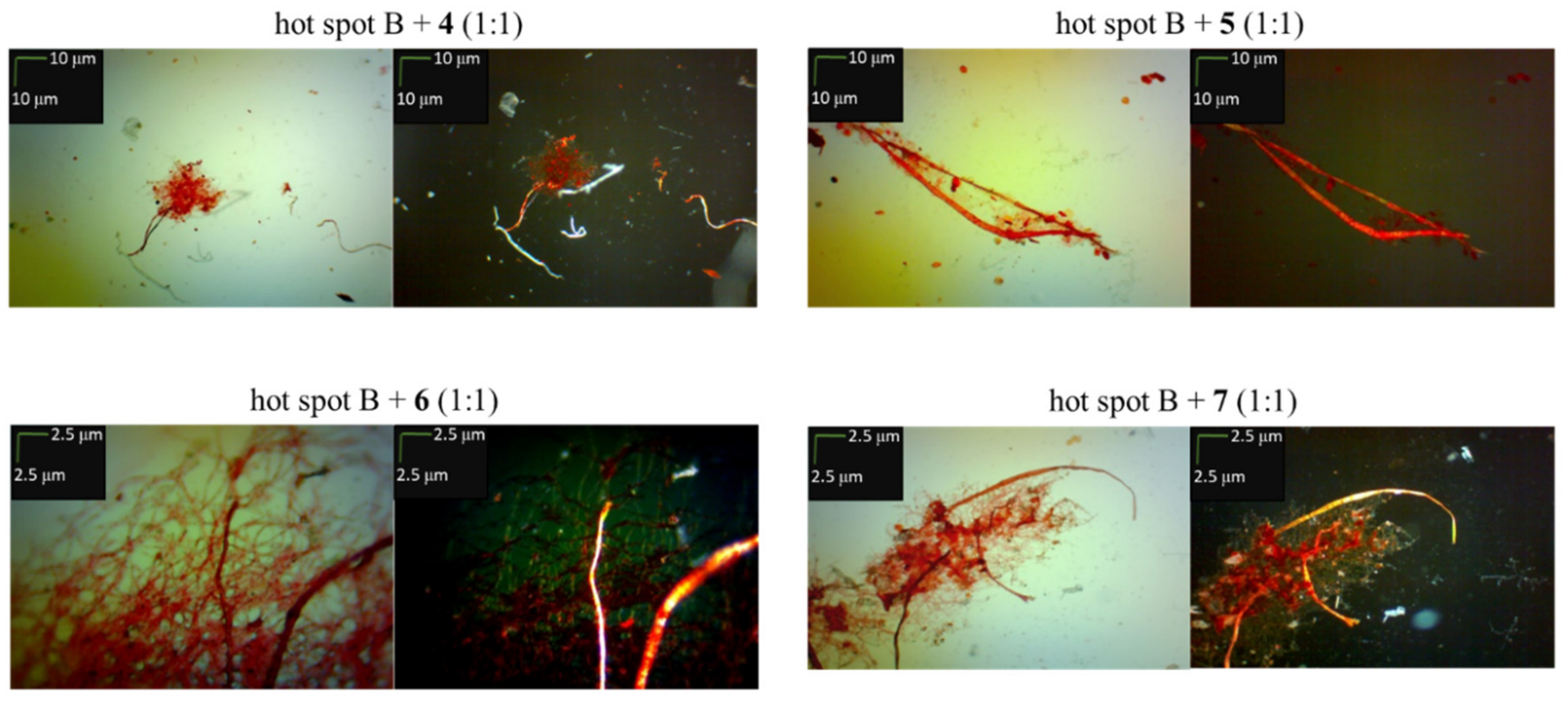 Molecules 24 03706 g002b