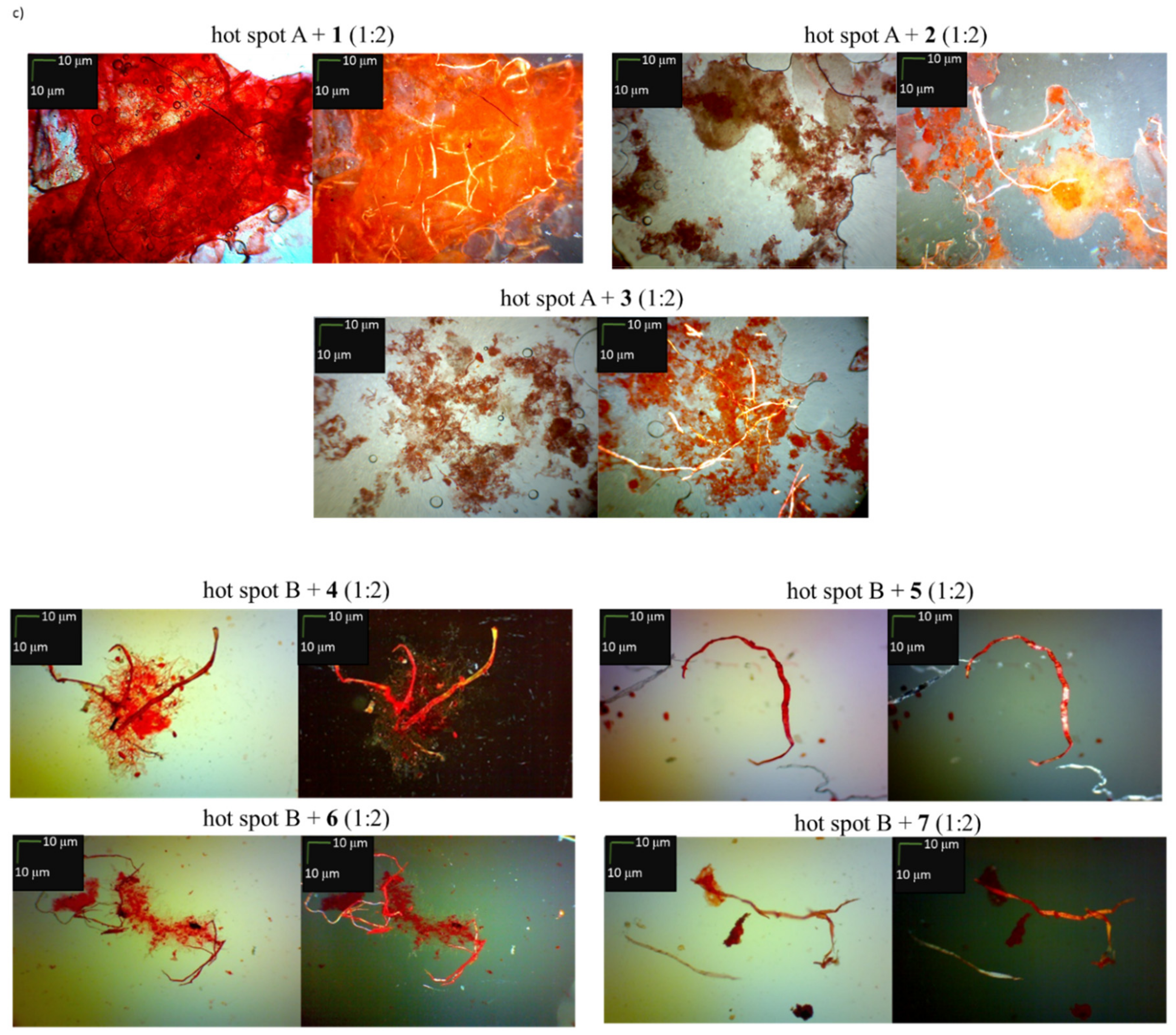 Molecules 24 03706 g004b
