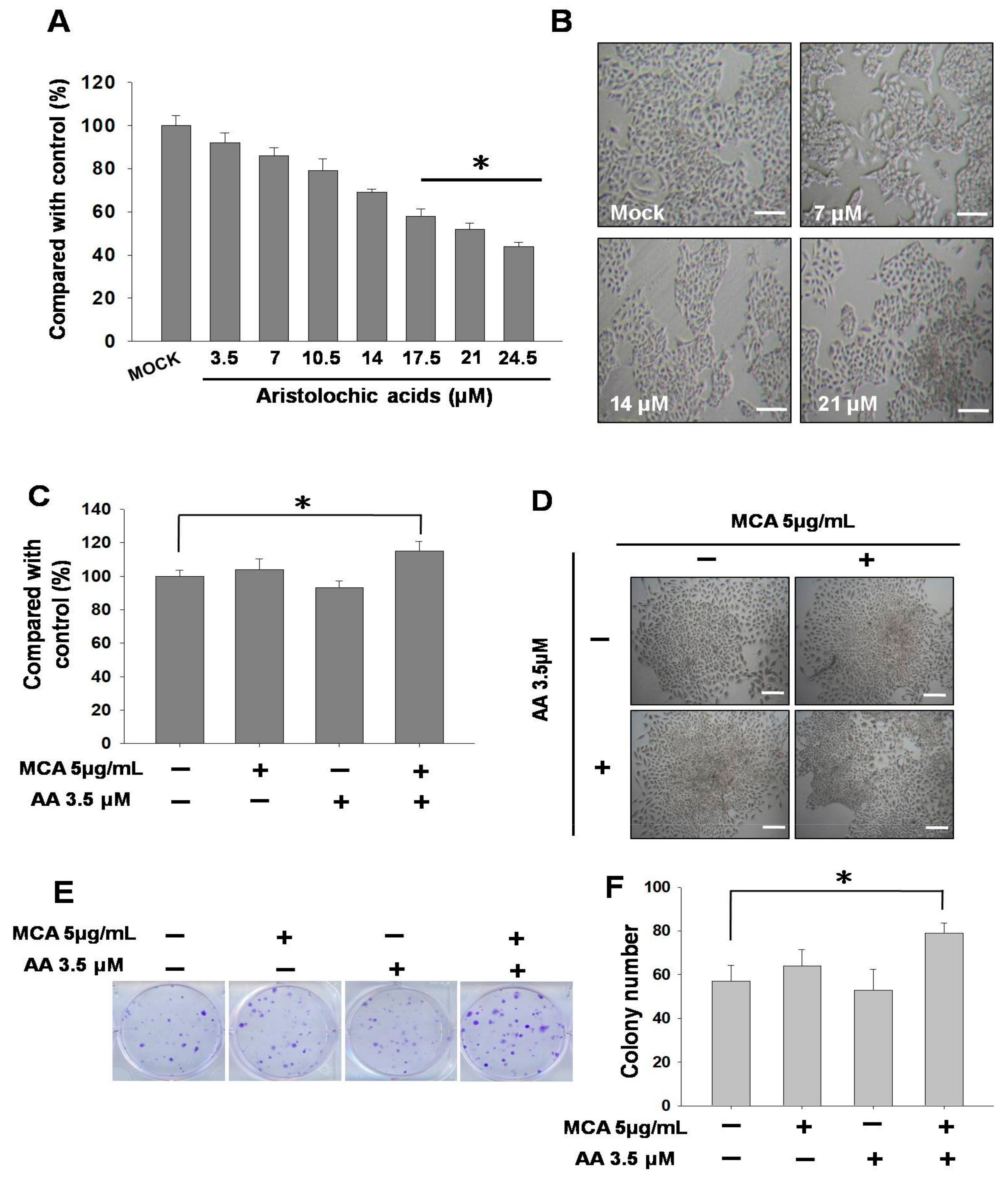 Molecules 24 03707 g001