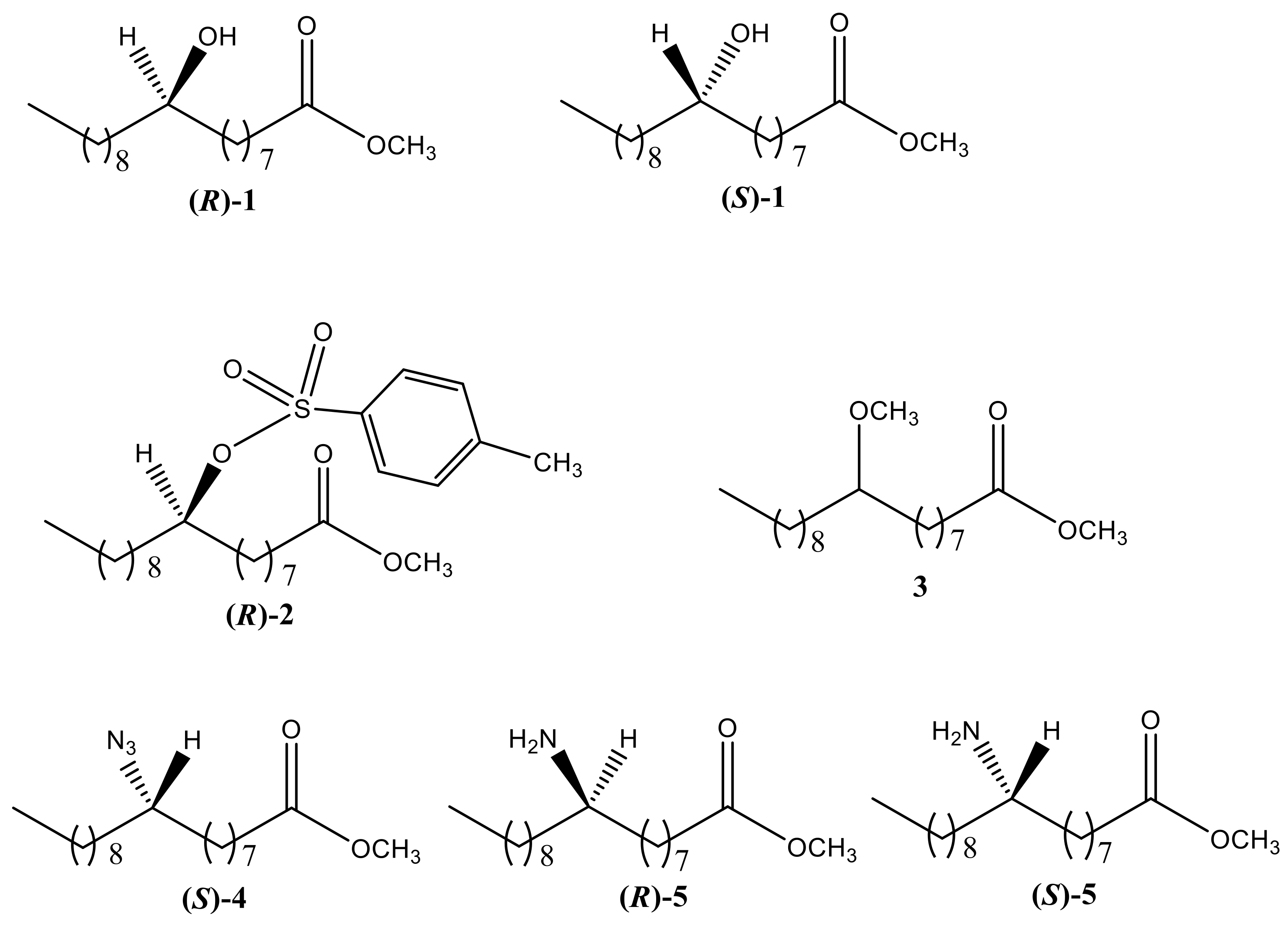 Molecules 24 03714 g002