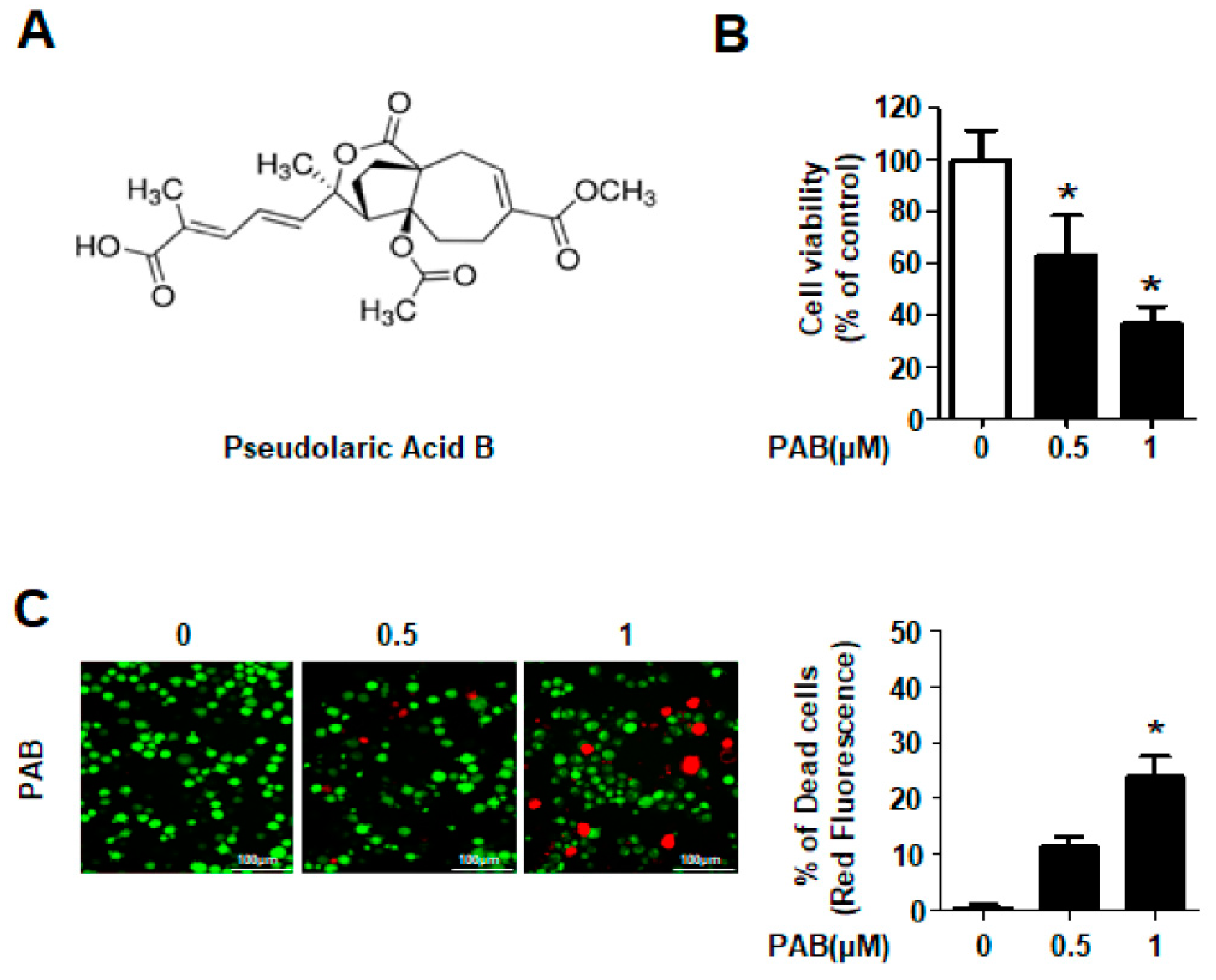 Molecules 24 03715 g001