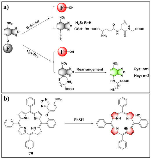 D i R n .  Recent Progress in the Development of Fluorescent Probes for