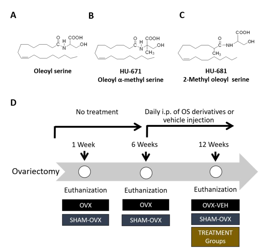 Molecules 24 03719 g001 Molecules 24 03719 g001